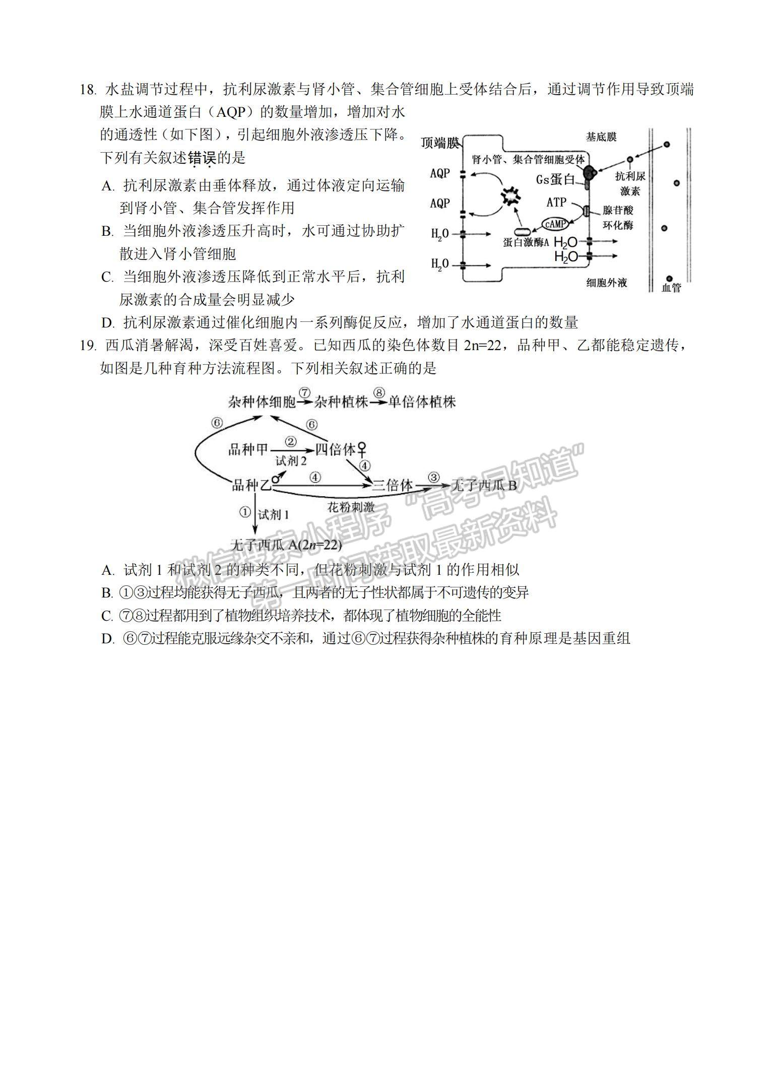 2021江蘇省蘇州中學(xué)高二暑期自主學(xué)習(xí)質(zhì)量評(píng)估生物試題及參考答案