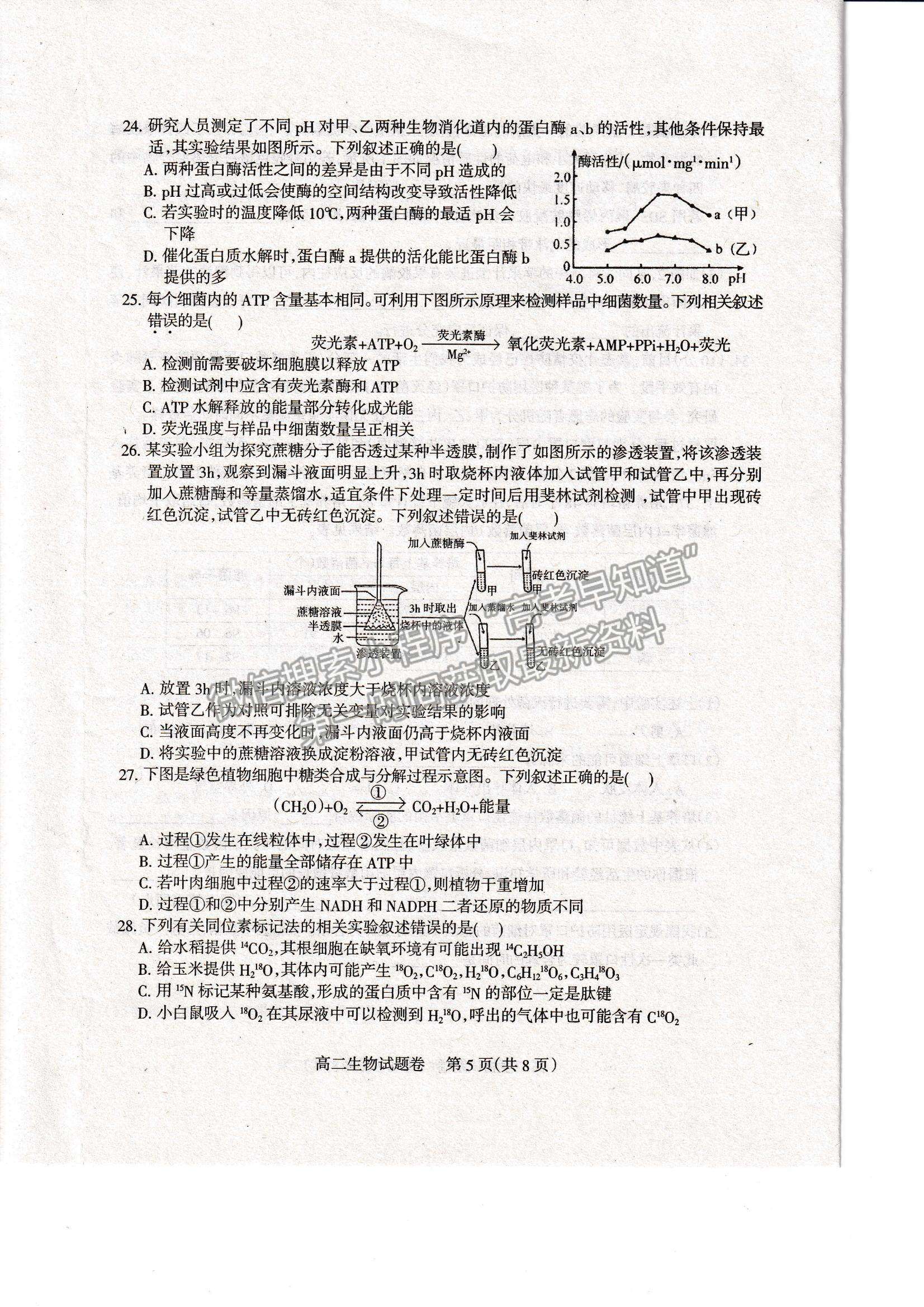 2021四川省涼山州高二下學(xué)期期末統(tǒng)考生物試題及參考答案