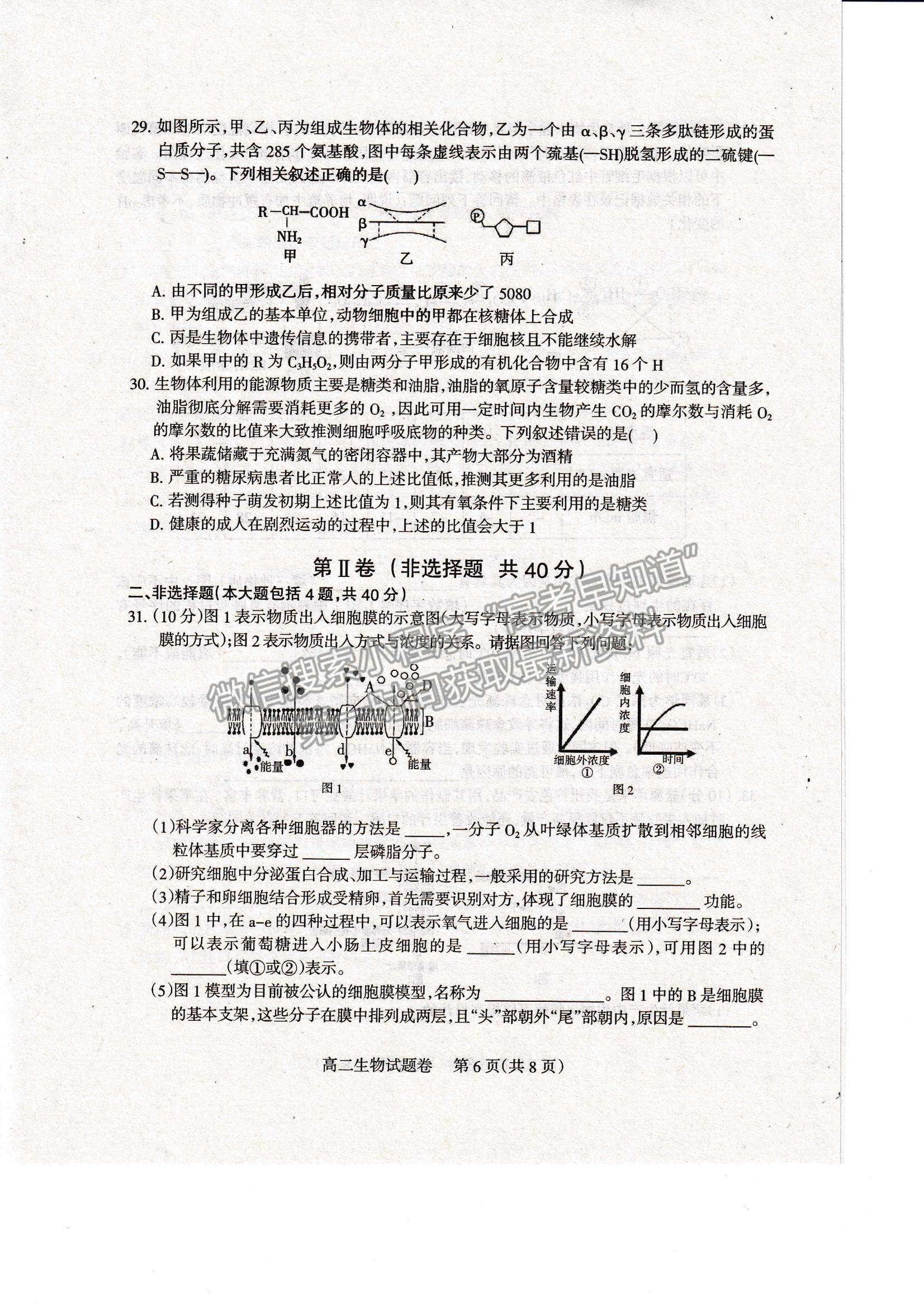 2021四川省涼山州高二下學期期末統(tǒng)考生物試題及參考答案