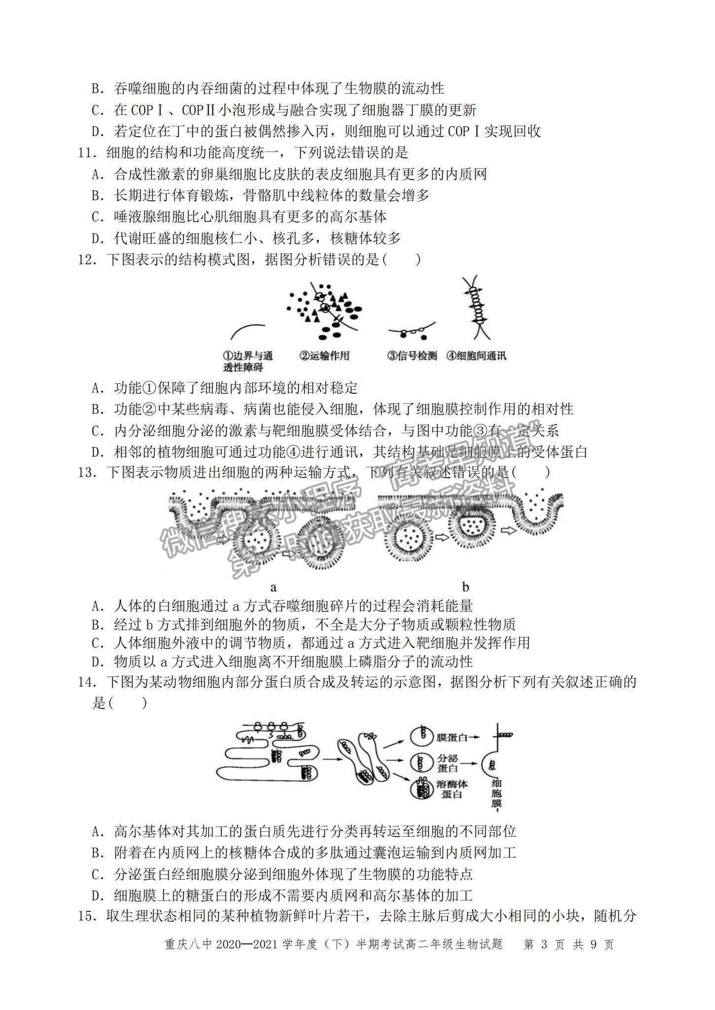 2021重慶八中高二下學期半期考試生物試題及參考答案