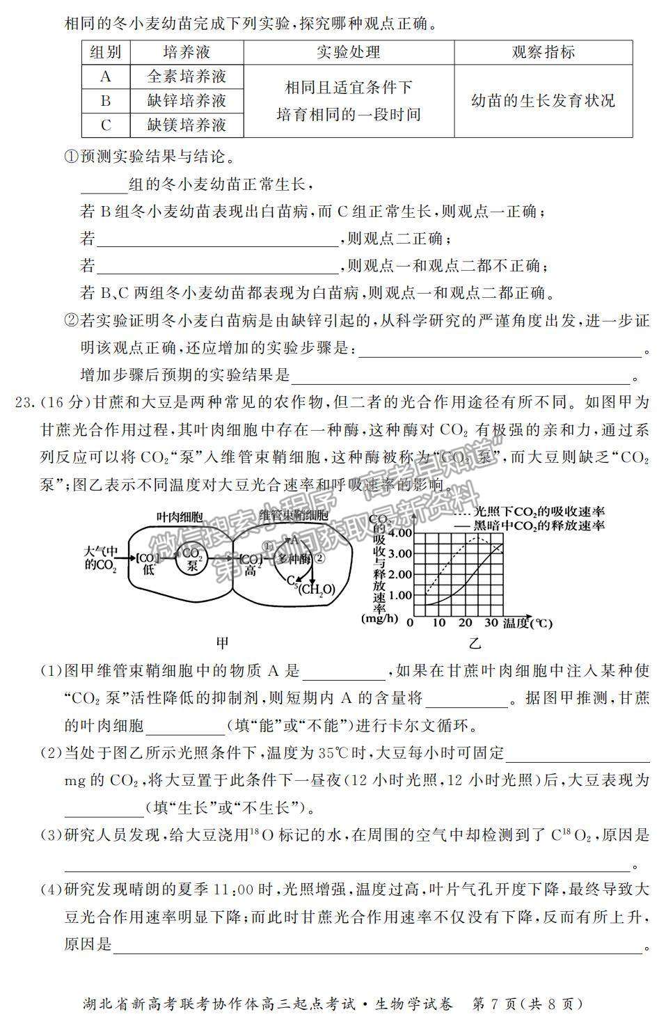 2022湖北省新高考聯(lián)考協(xié)作體高三上學(xué)期起點(diǎn)考試生物試題及參考答案