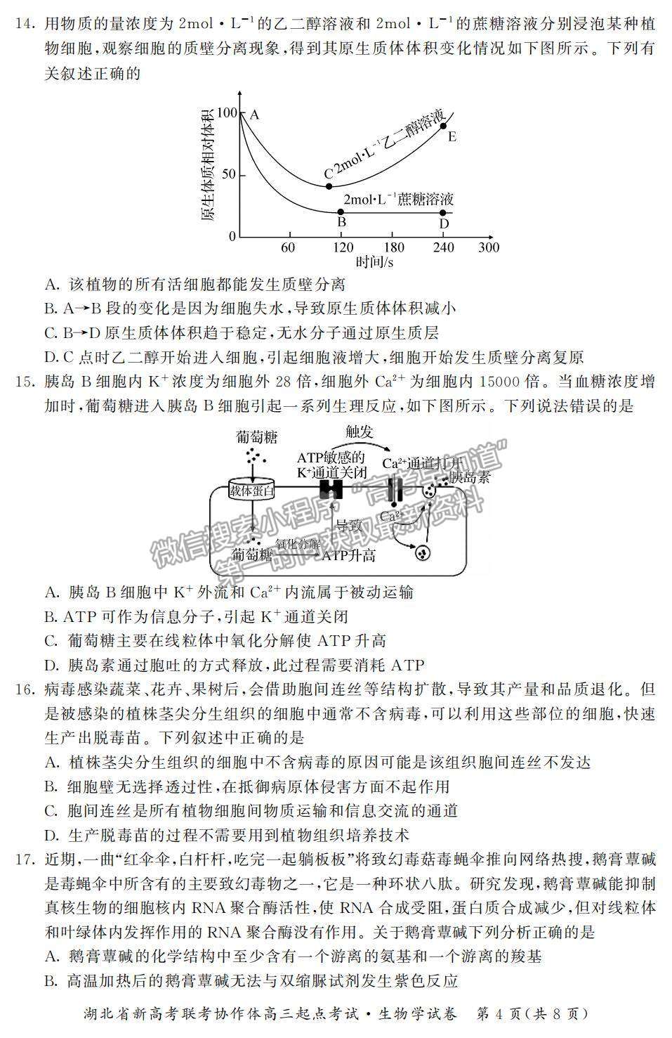 2022湖北省新高考聯(lián)考協(xié)作體高三上學(xué)期起點考試生物試題及參考答案