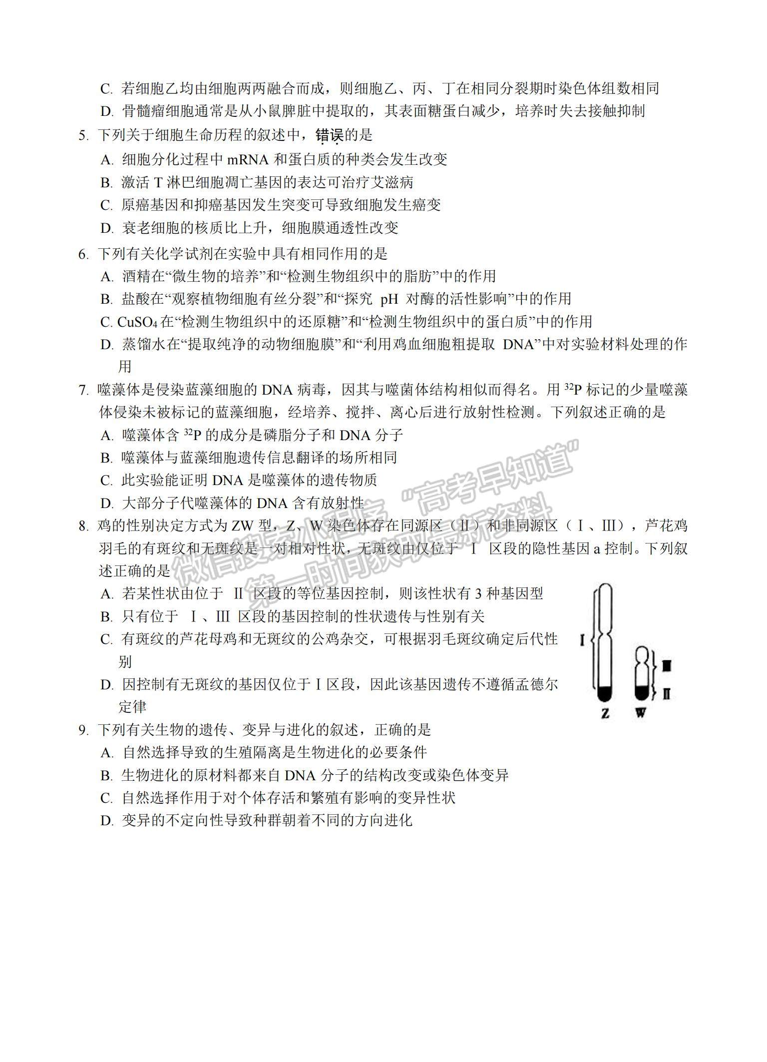 2021江蘇省蘇州中學(xué)高二暑期自主學(xué)習(xí)質(zhì)量評估生物試題及參考答案