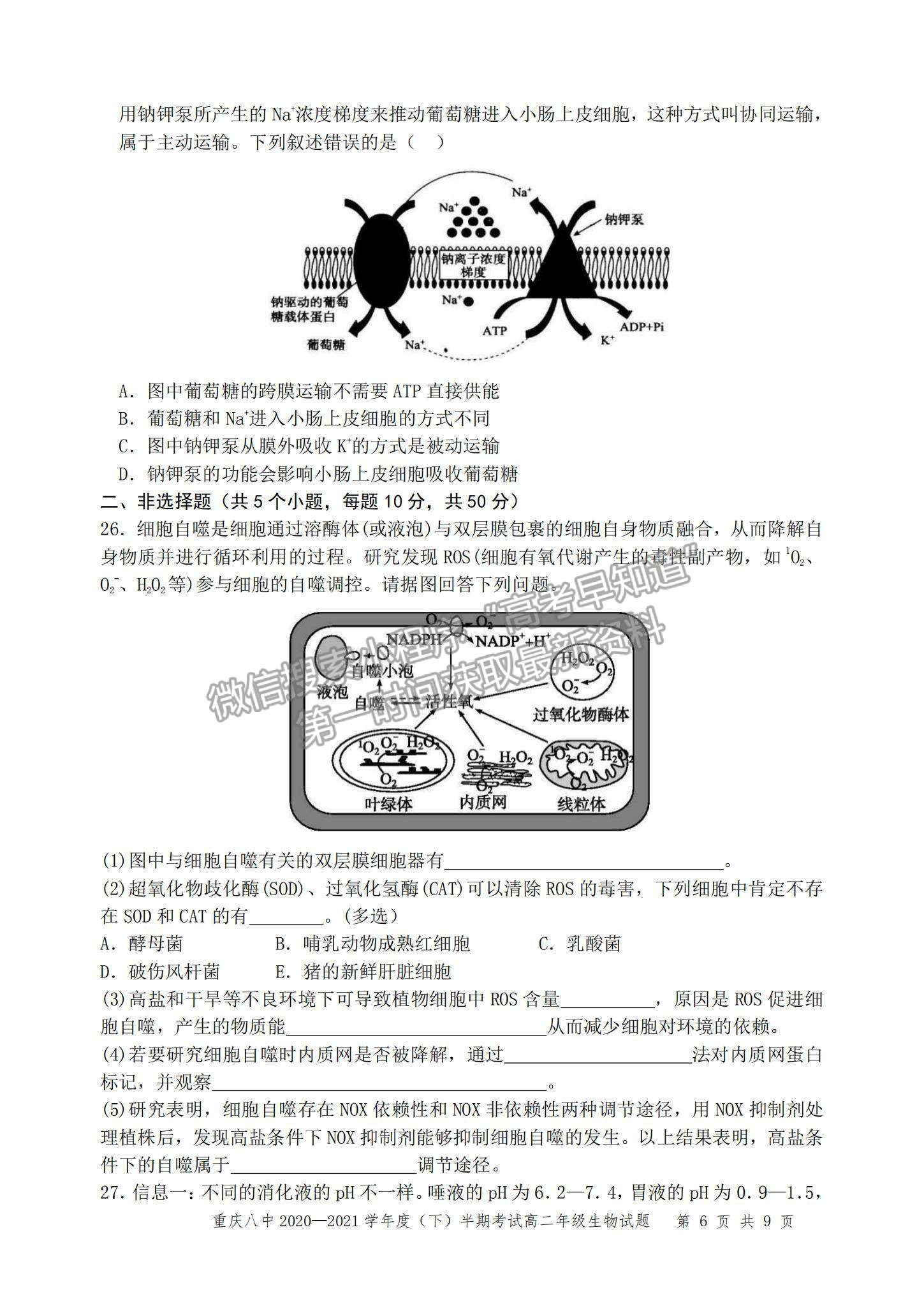 2021重慶八中高二下學(xué)期半期考試生物試題及參考答案