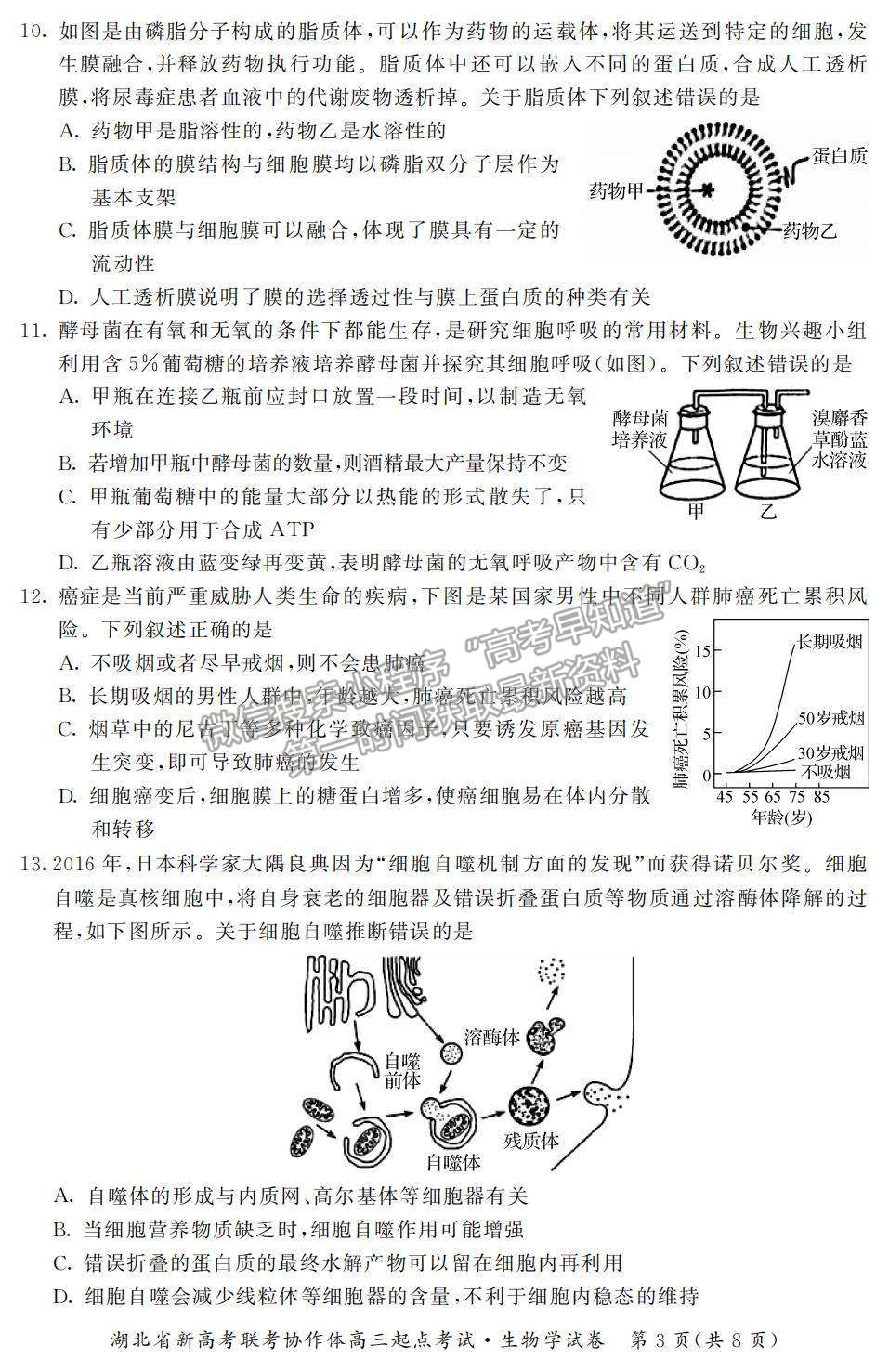 2022湖北省新高考聯(lián)考協(xié)作體高三上學期起點考試生物試題及參考答案