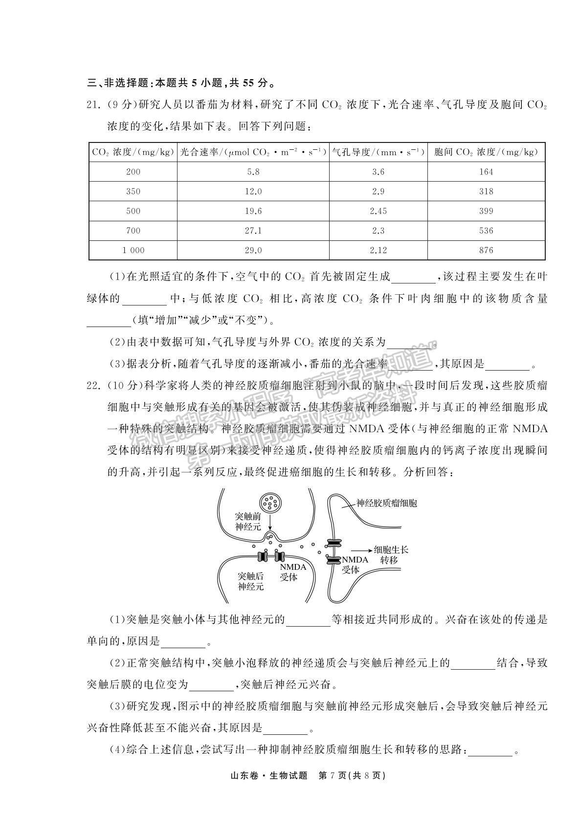 2022衡中同卷-天舟高考高三第一次質(zhì)量檢測(cè)（山東卷）生物試題及參考答案