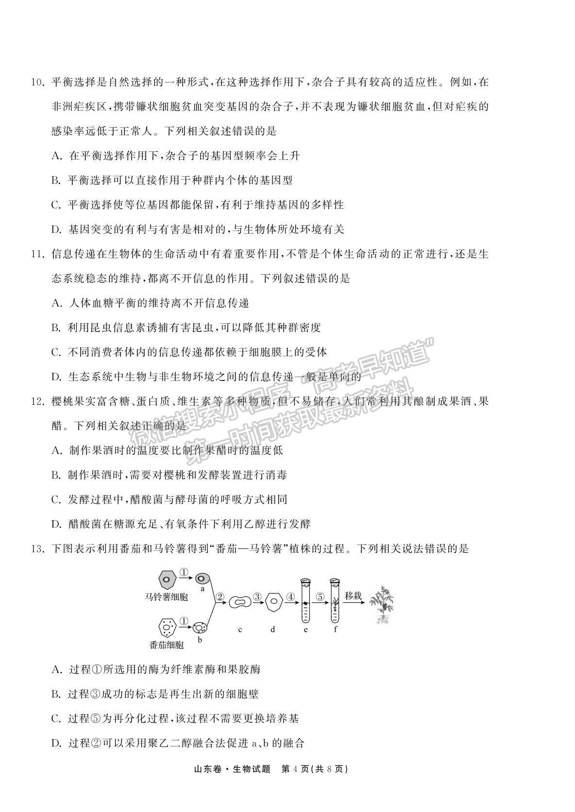 2022衡中同卷-天舟高考高三第一次質量檢測（山東卷）生物試題及參考答案