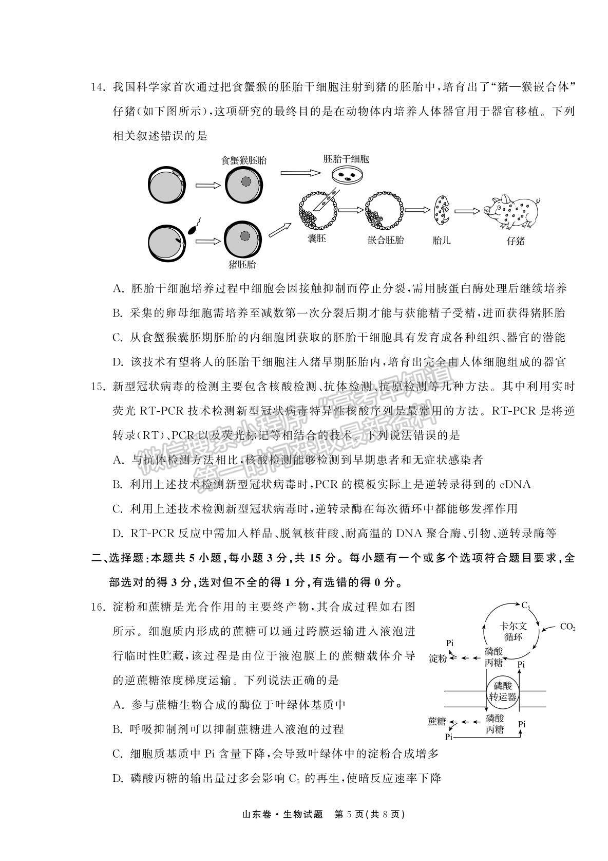 2022衡中同卷-天舟高考高三第一次質(zhì)量檢測(cè)（山東卷）生物試題及參考答案