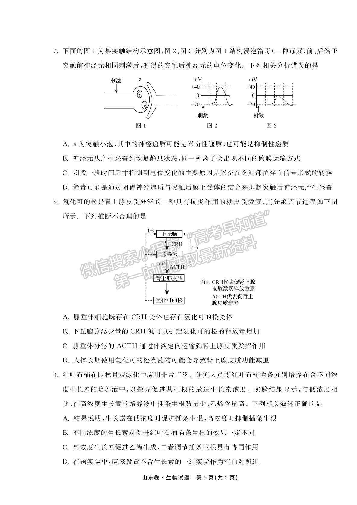 2022衡中同卷-天舟高考高三第一次質(zhì)量檢測（山東卷）生物試題及參考答案