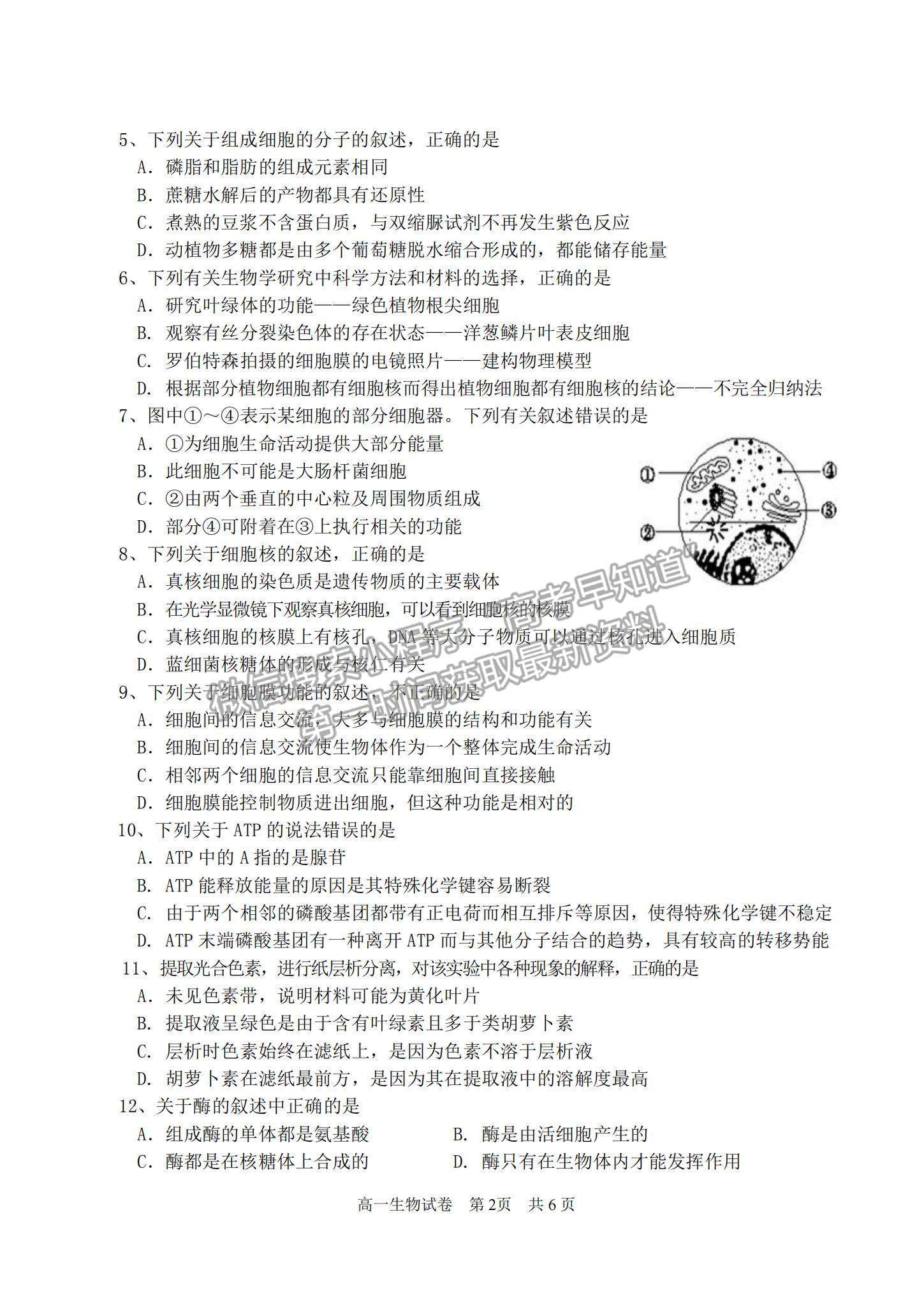 2021廣東省汕頭市潮陽(yáng)區(qū)高一上學(xué)期期末考試生物試題及參考答案