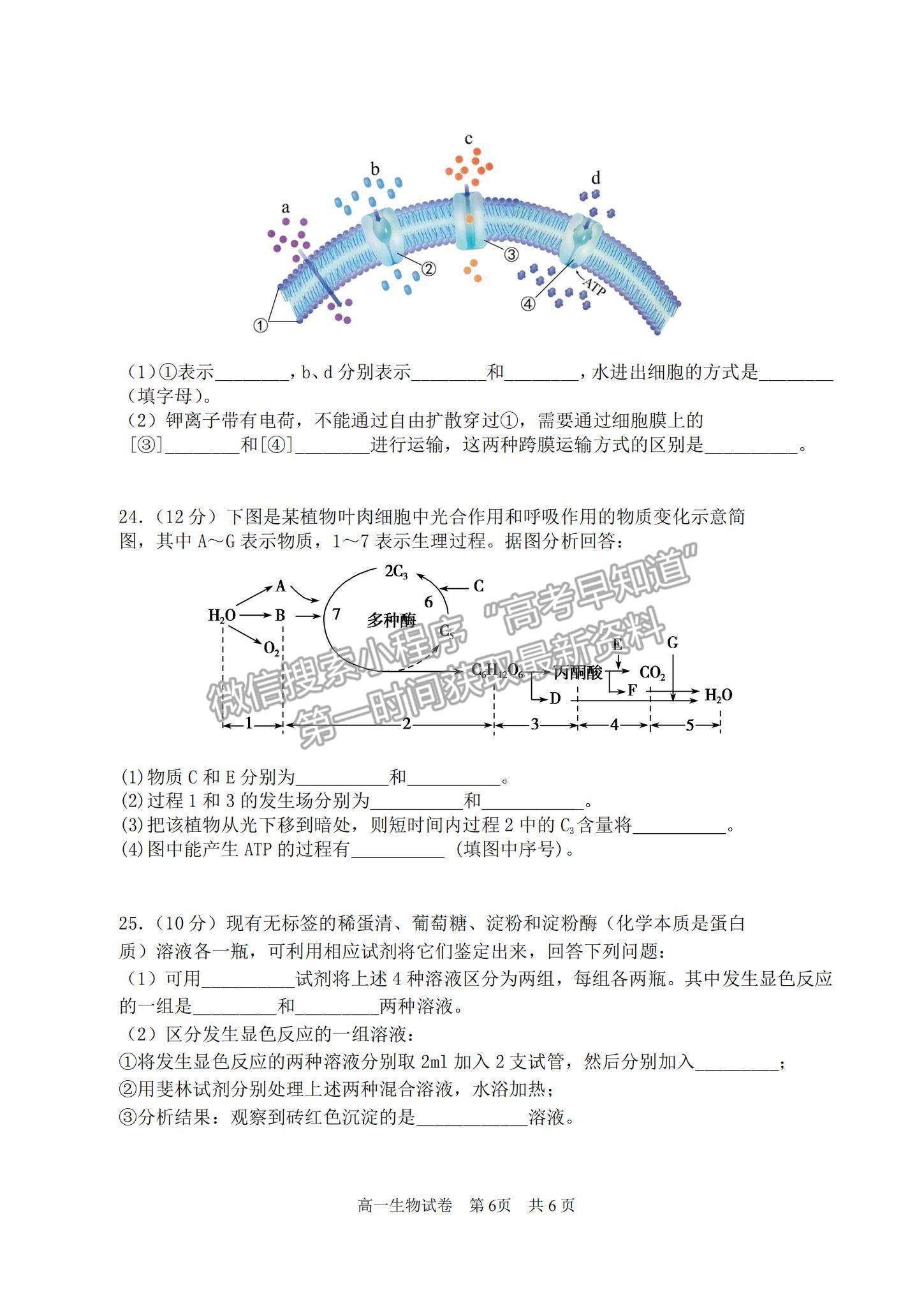 2021廣東省汕頭市潮陽區(qū)高一上學(xué)期期末考試生物試題及參考答案