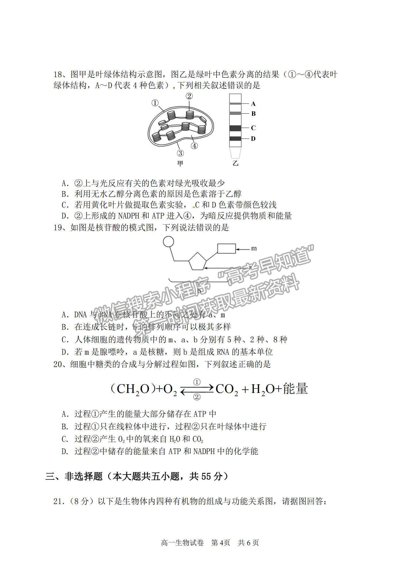 2021廣東省汕頭市潮陽(yáng)區(qū)高一上學(xué)期期末考試生物試題及參考答案