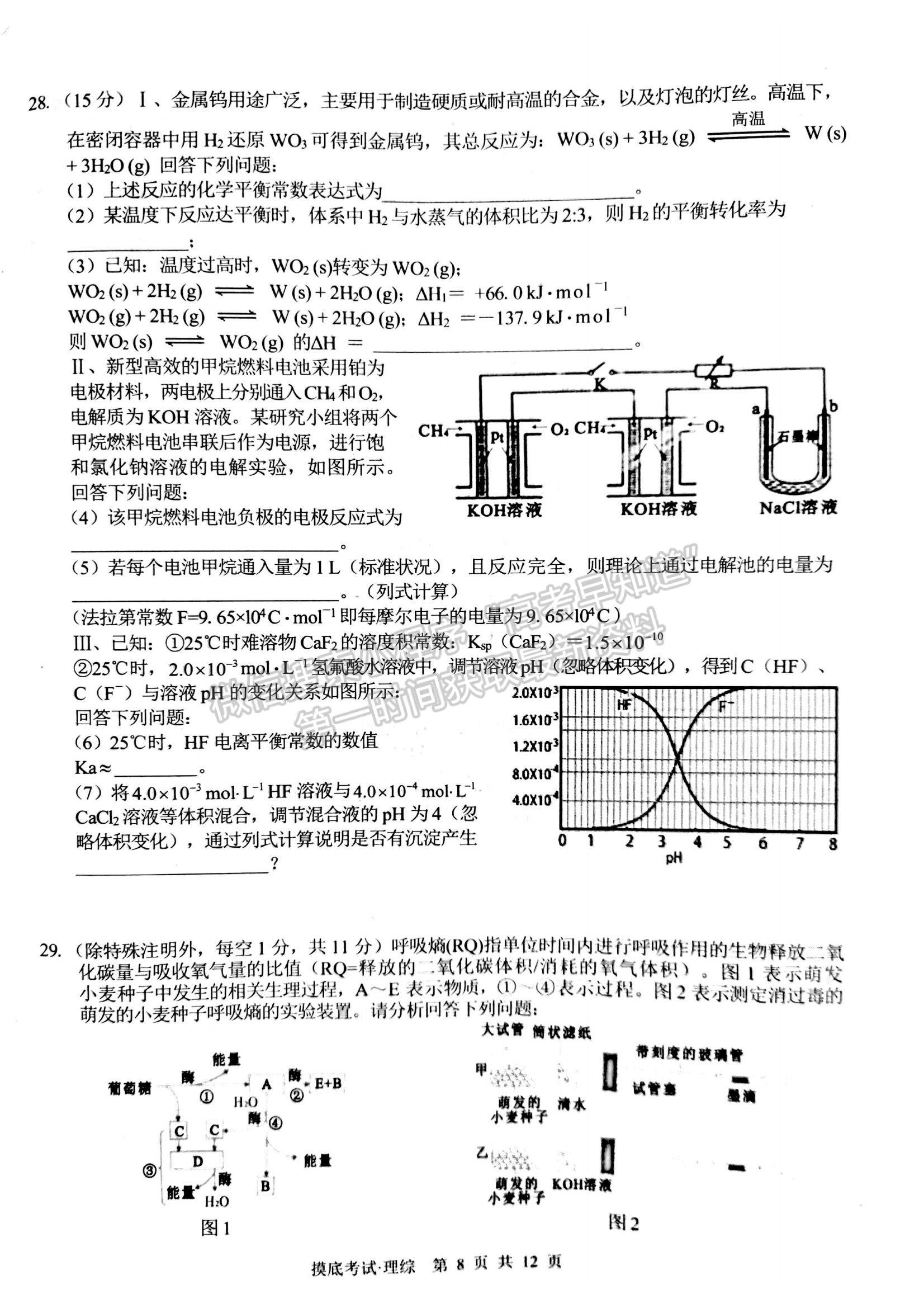 2022廣西普通高校高三摸底考試?yán)砭C試題及參考答案