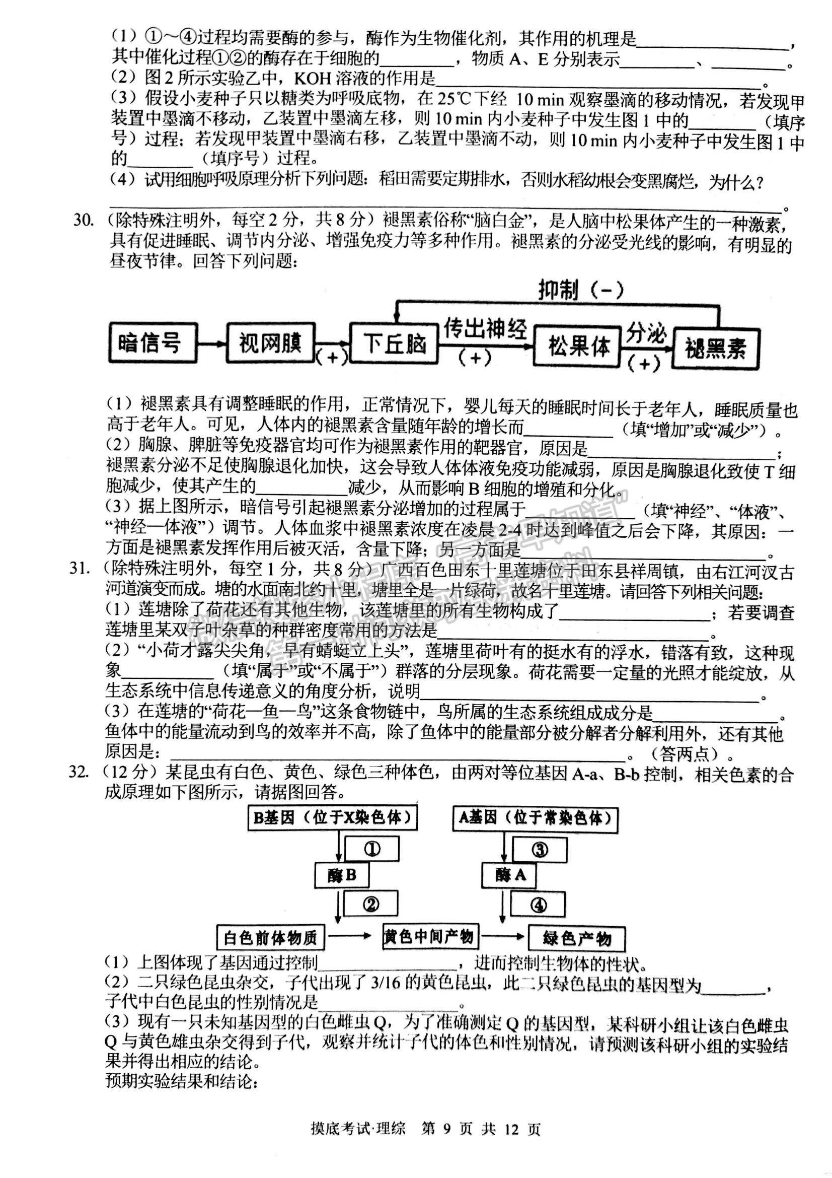 2022廣西普通高校高三摸底考試?yán)砭C試題及參考答案