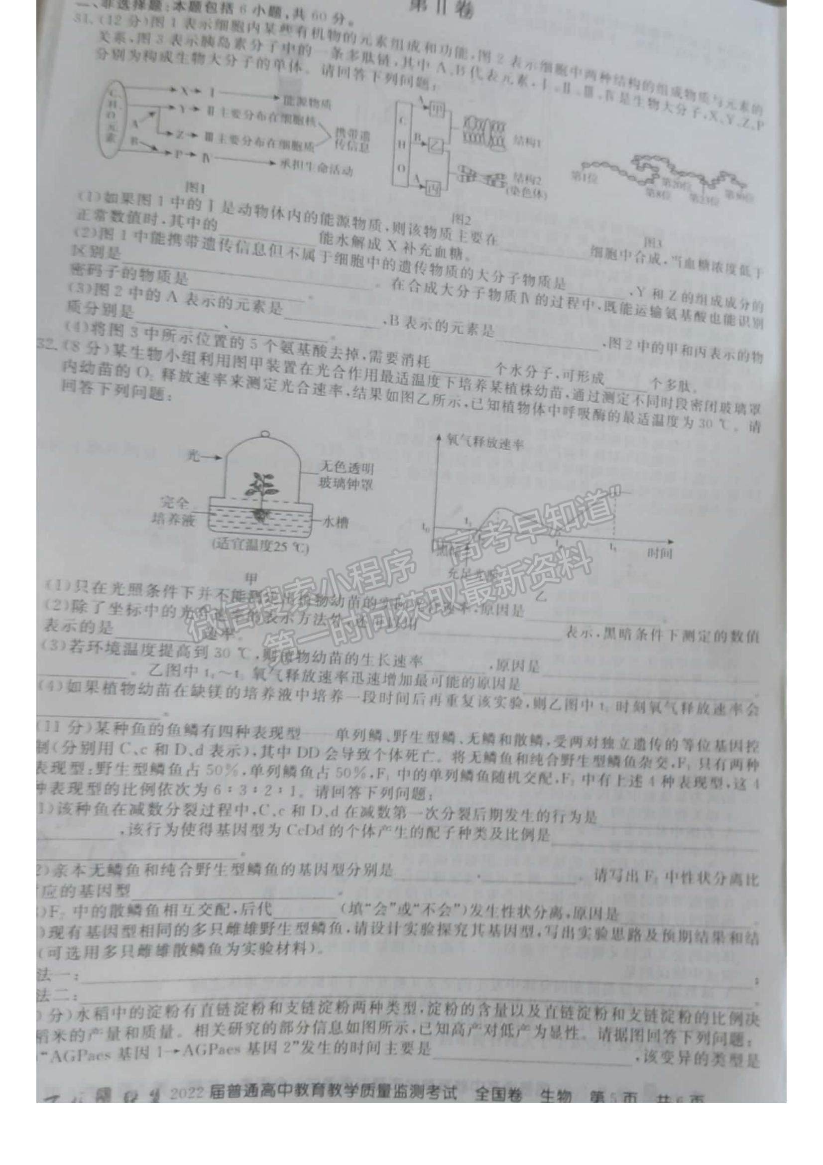 2022百校聯(lián)盟高三9月聯(lián)考（全國卷）生物試題及參考答案