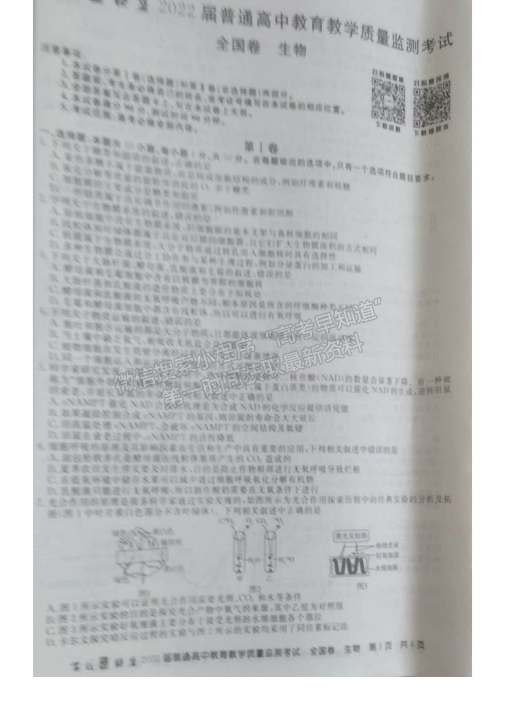 2022百校聯(lián)盟高三9月聯(lián)考（全國卷）生物試題及參考答案