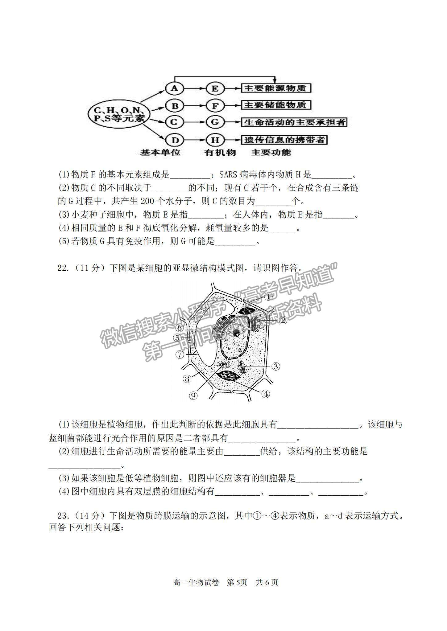 2021廣東省汕頭市潮陽區(qū)高一上學(xué)期期末考試生物試題及參考答案