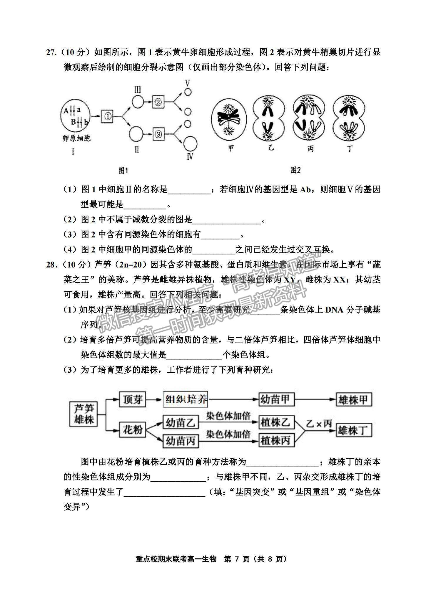 2021天津市楊村一中、寶坻一中等四校高一下學期期末聯考生物試題及參考答案