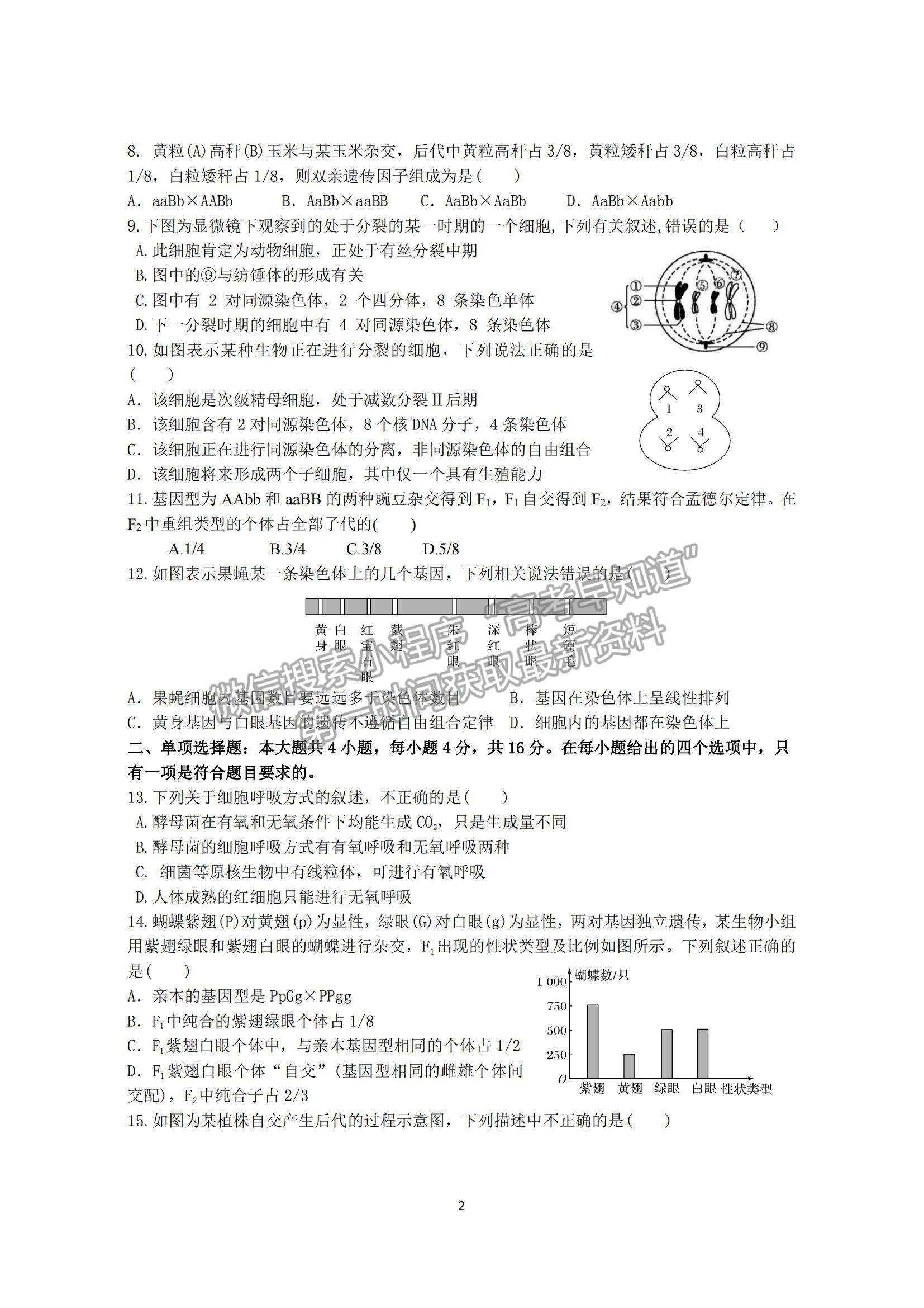 2021廣東省揭陽(yáng)市揭西縣河婆中學(xué)高一下學(xué)期第一次月考生物試題及參考答案