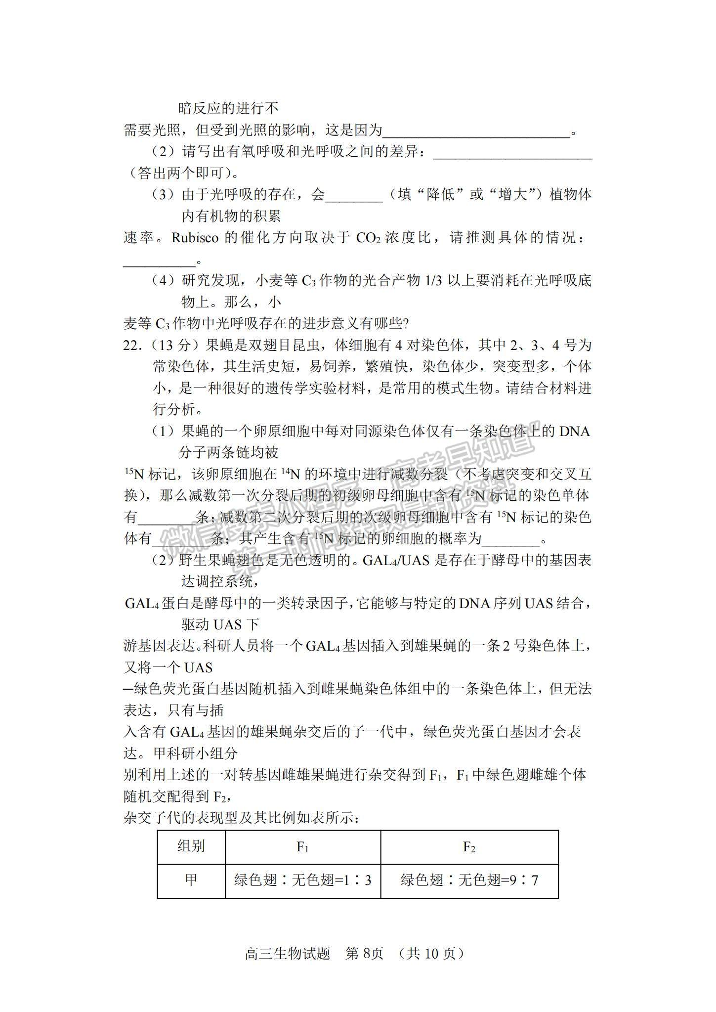 2022山東省泰安肥城市高三上學(xué)期第一次摸底考試生物試題及參考答案