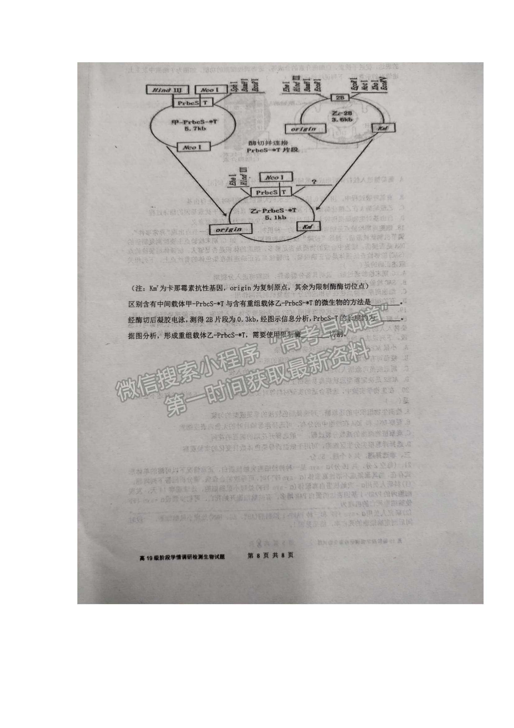 2022山東省臨沂市臨沭一中高三上學(xué)期開學(xué)考試生物試題及參考答案