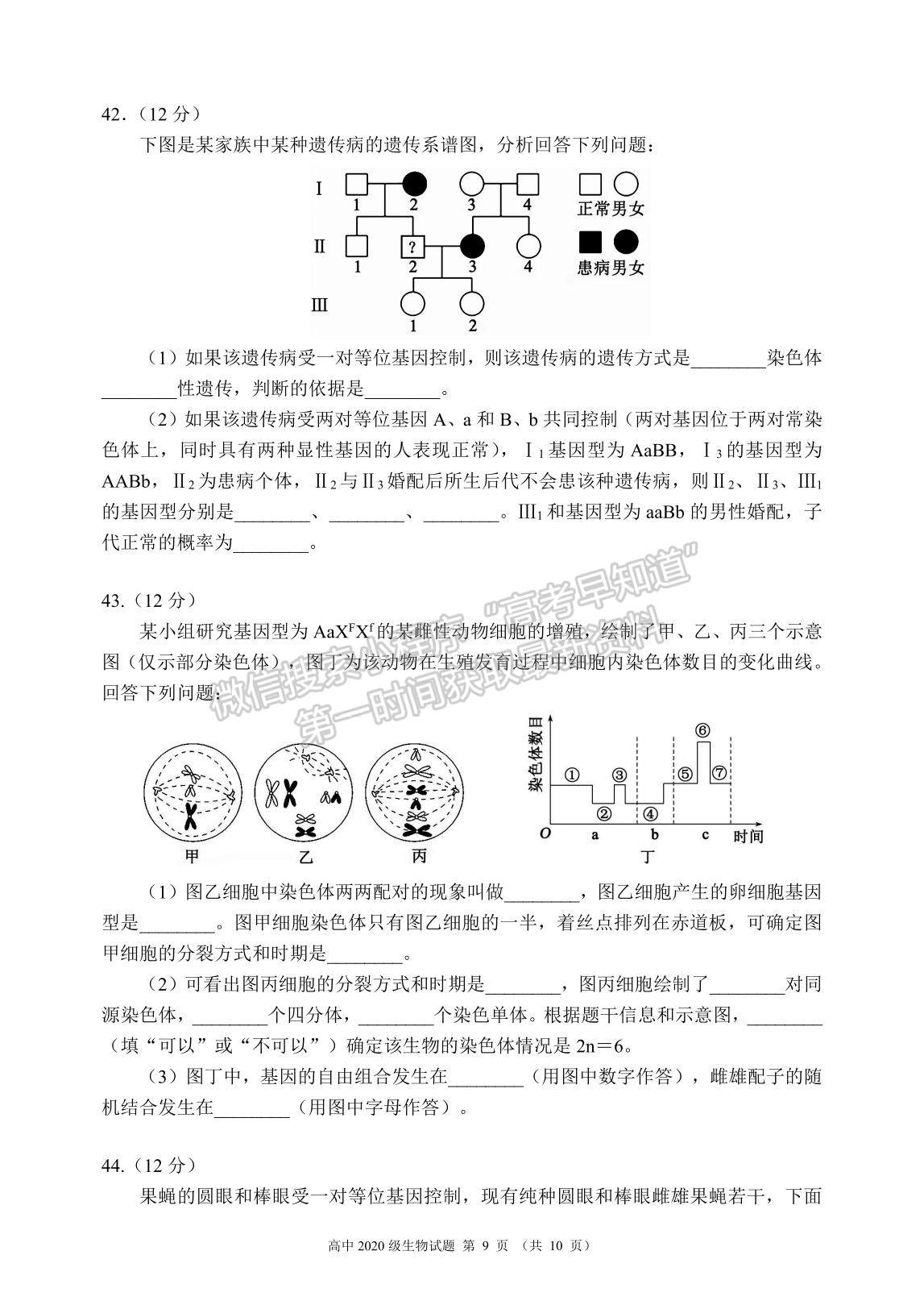 2021成都市蓉城名校聯(lián)盟高一下學期期末聯(lián)考生物試題及參考答案