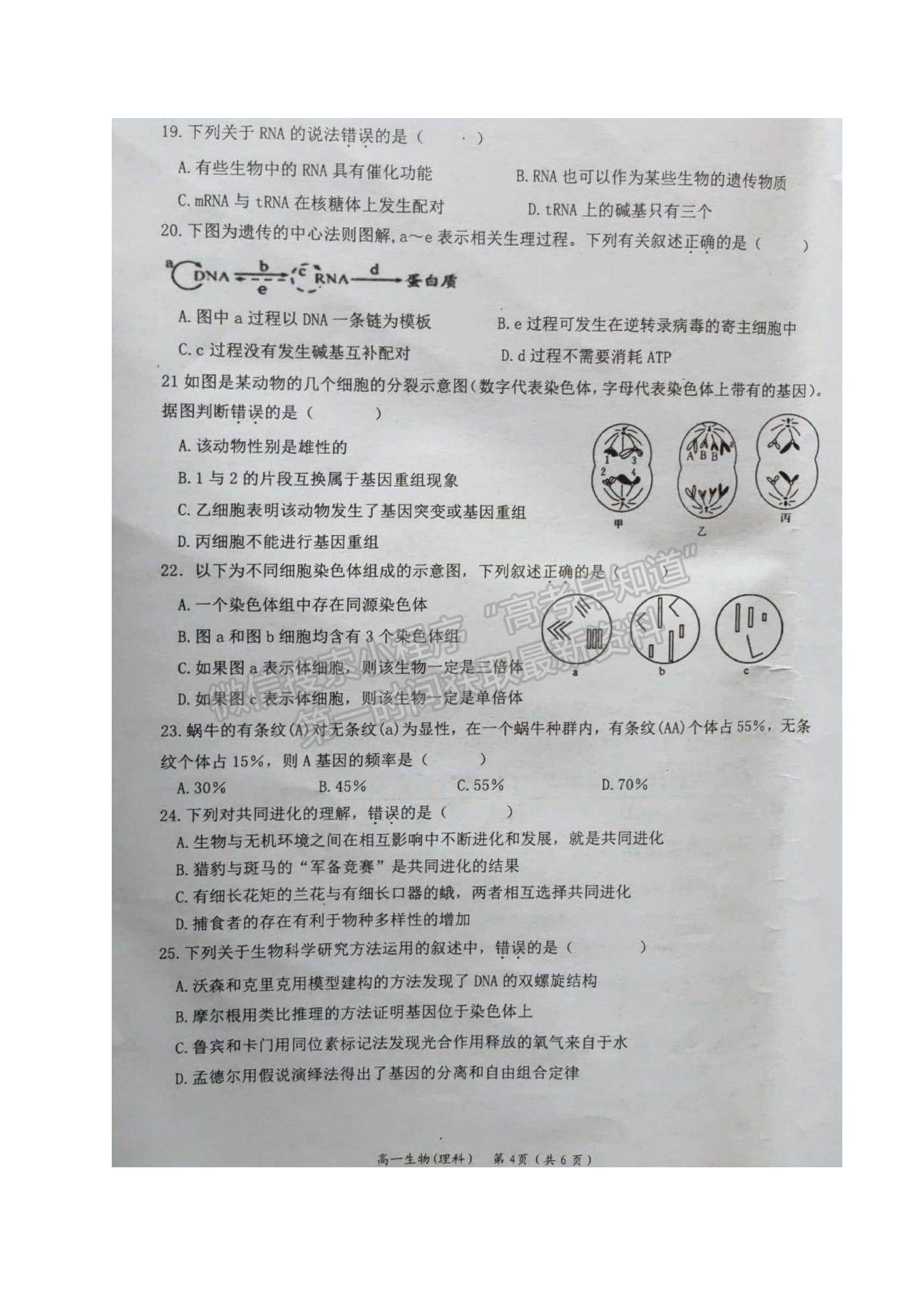 2021廣西岑溪市高一下學(xué)期期末考試生物（理）試題及參考答案