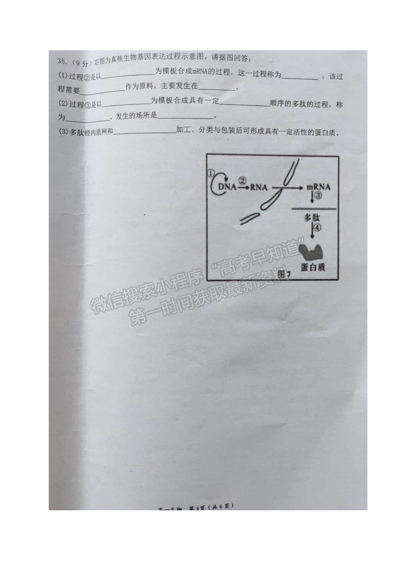 2021廣西岑溪市高一下學(xué)期期末考試生物（文）試題及參考答案