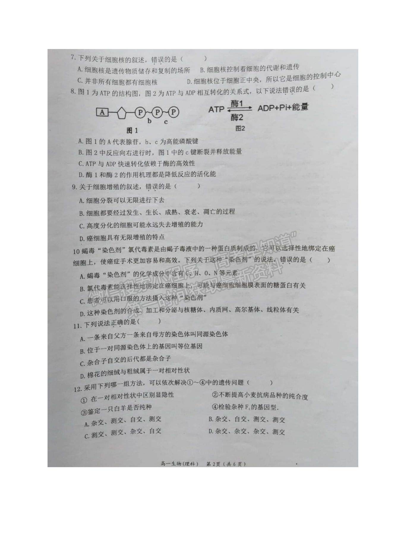 2021廣西岑溪市高一下學期期末考試生物（理）試題及參考答案