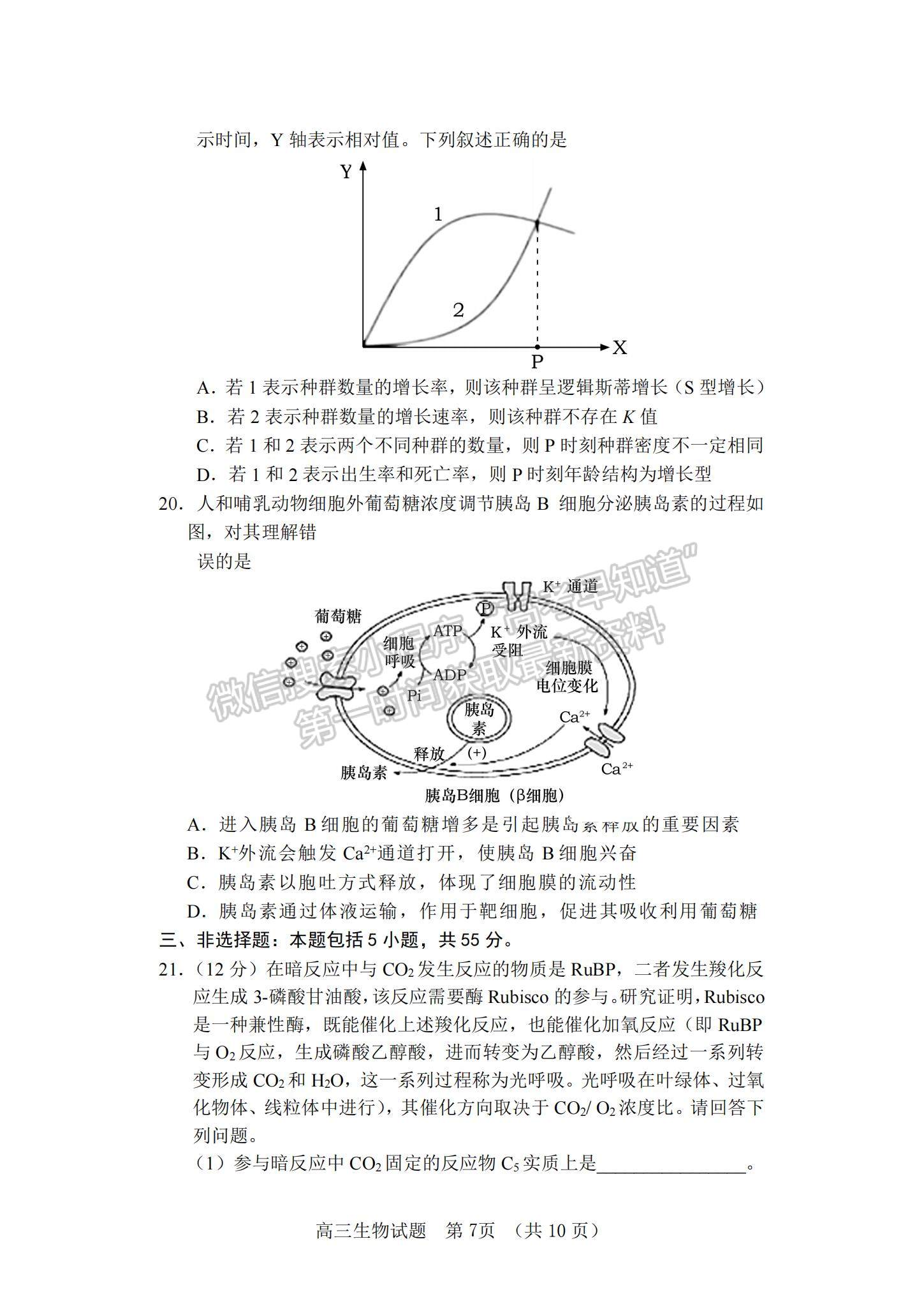 2022山東省泰安肥城市高三上學(xué)期第一次摸底考試生物試題及參考答案