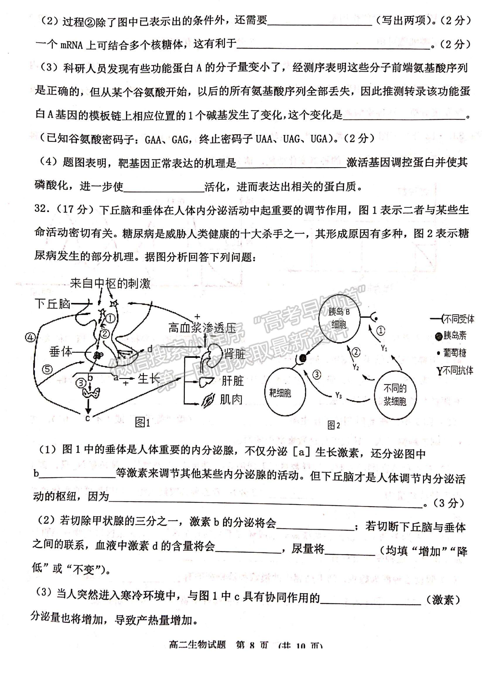 2021江西省新余市高二下學(xué)期期末考試生物試題及參考答案