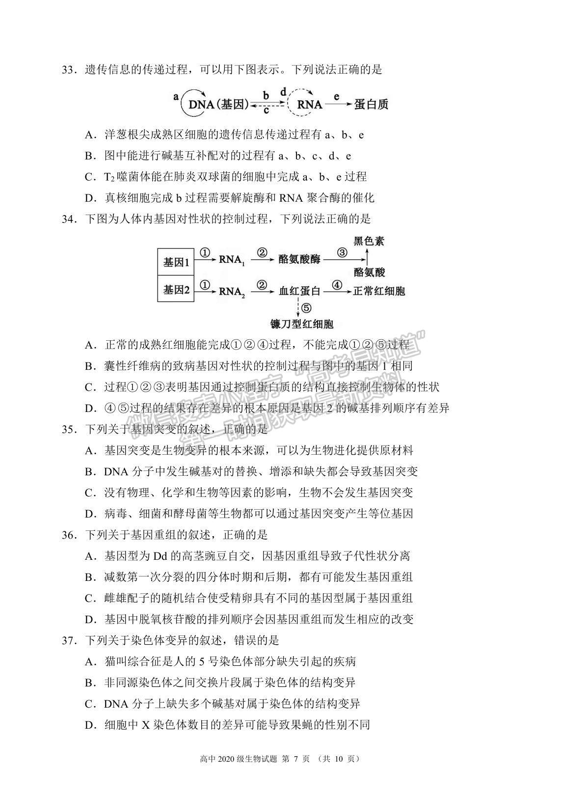 2021成都市蓉城名校聯(lián)盟高一下學(xué)期期末聯(lián)考生物試題及參考答案