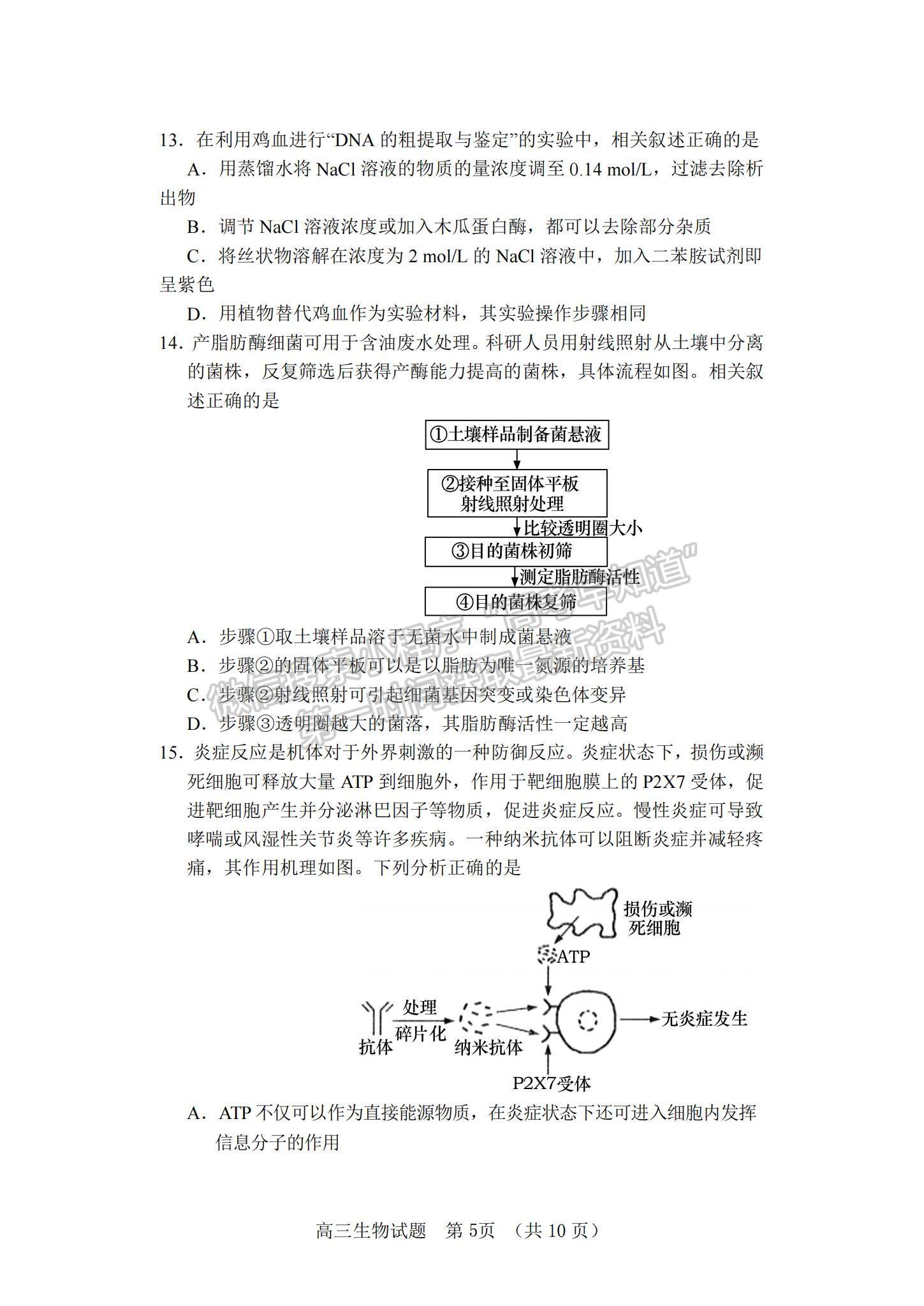 2022山東省泰安肥城市高三上學(xué)期第一次摸底考試生物試題及參考答案