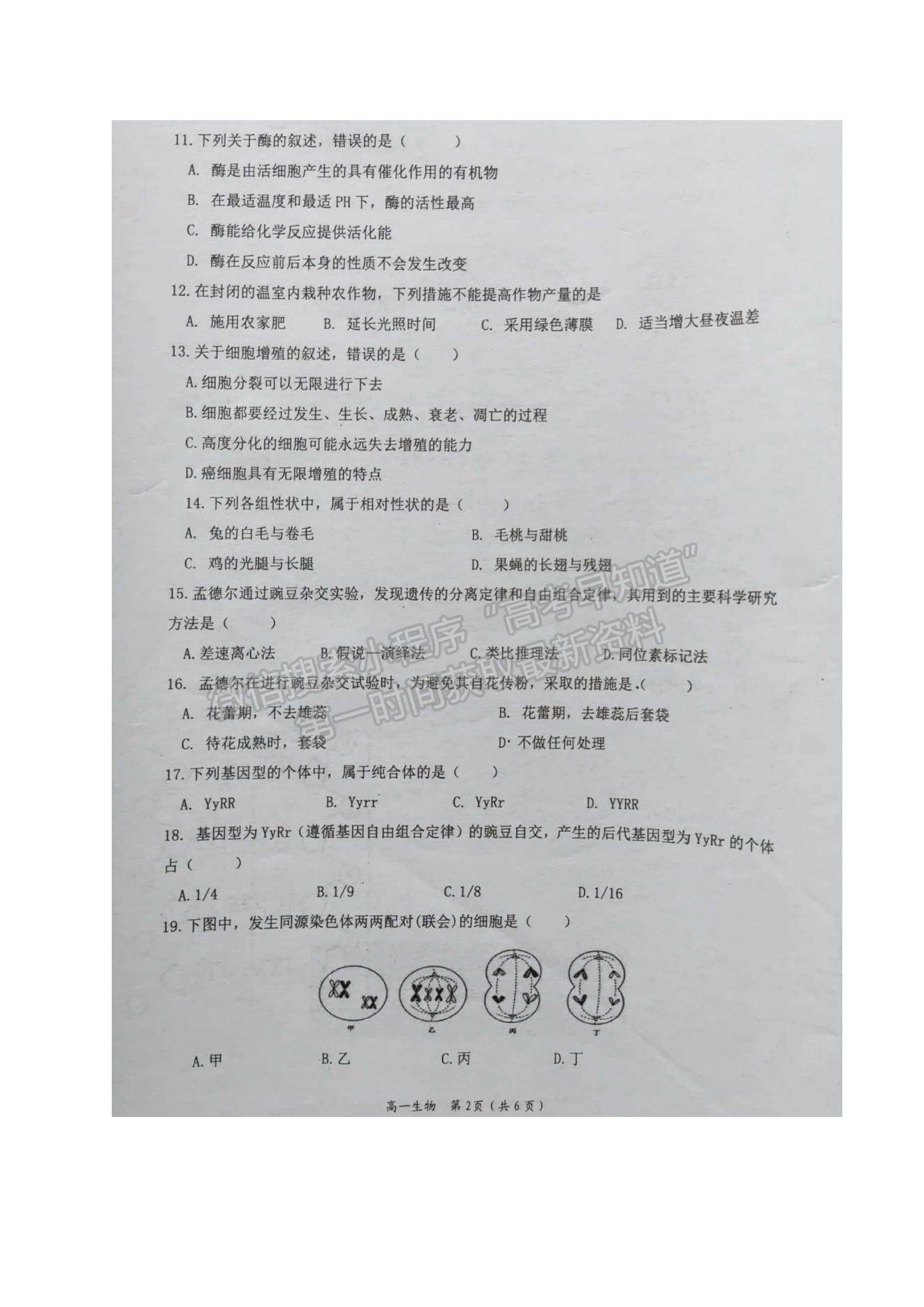 2021廣西岑溪市高一下學(xué)期期末考試生物（文）試題及參考答案