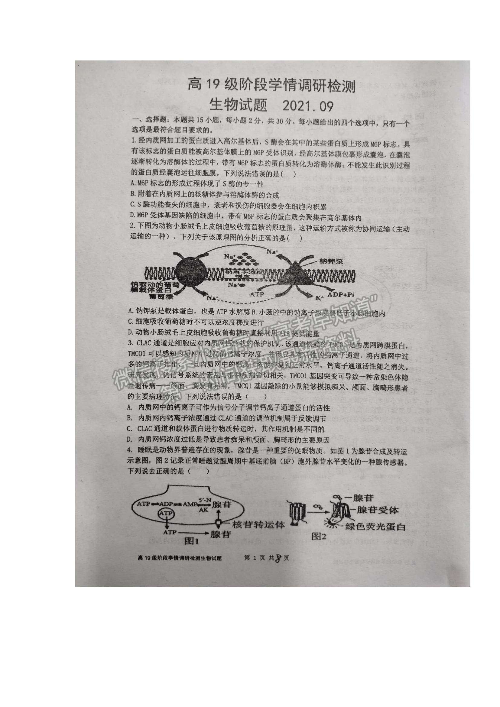 2022山东省临沂市临沭一中高三上学期开学考试生物试题及参考答案