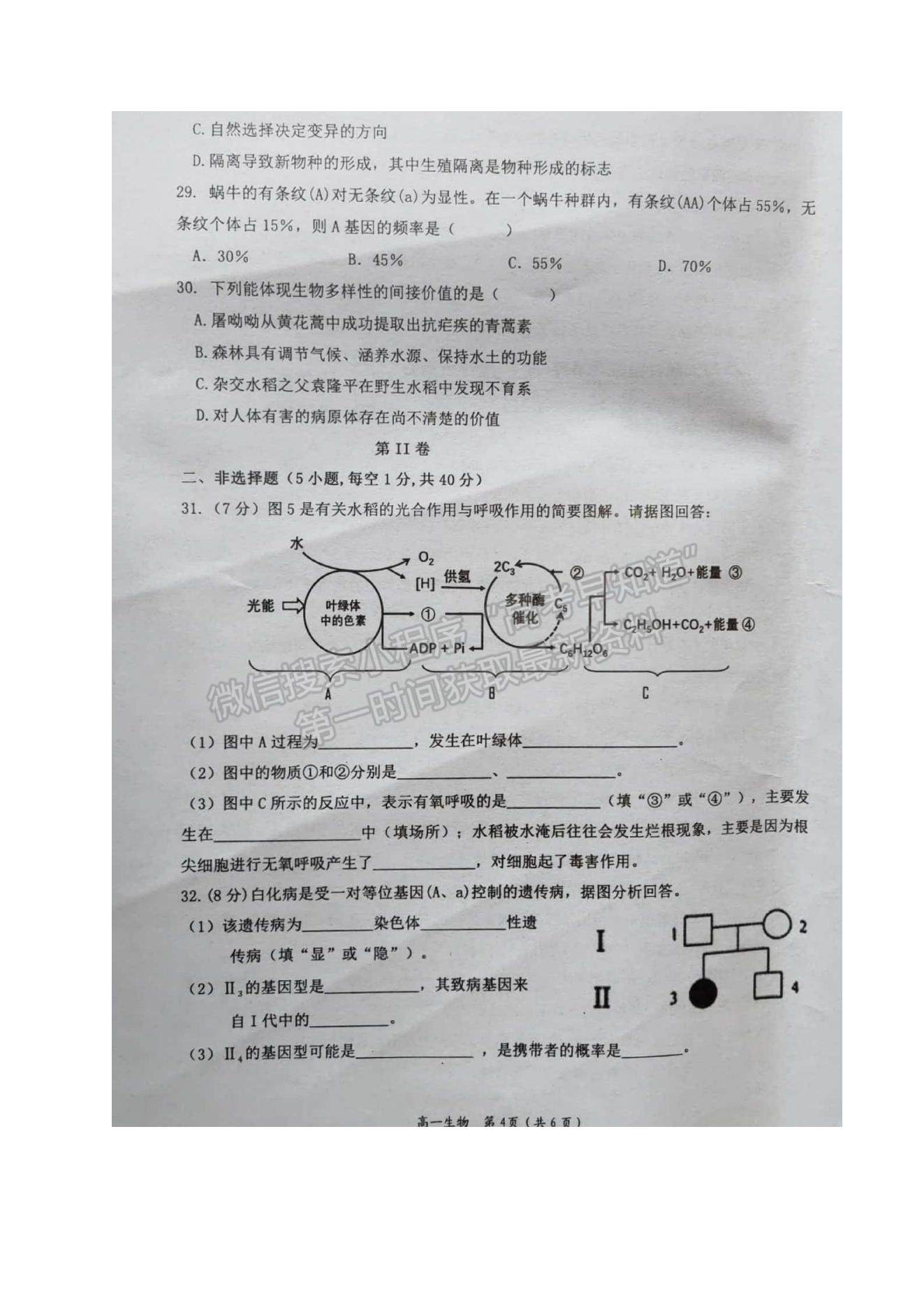 2021廣西岑溪市高一下學(xué)期期末考試生物（文）試題及參考答案