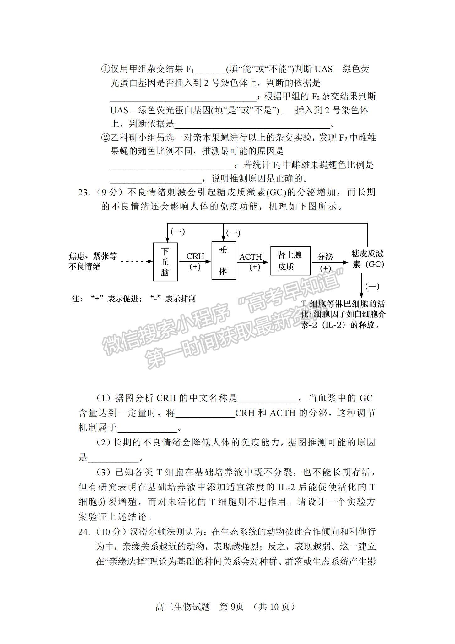 2022山東省泰安肥城市高三上學期第一次摸底考試生物試題及參考答案