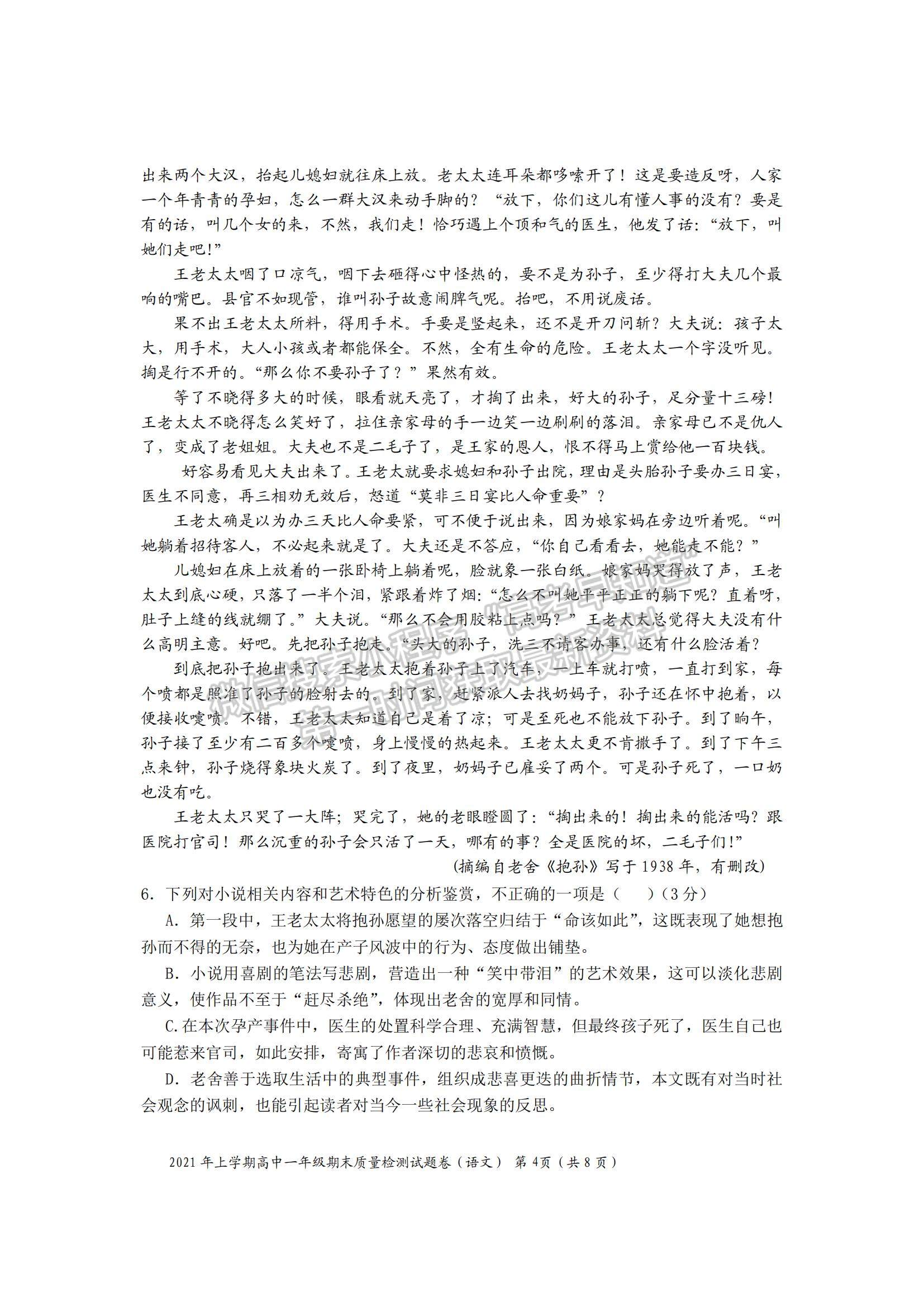 2021湖南省邵陽市邵陽縣高一下學(xué)期期末考試語文試題及參考答案