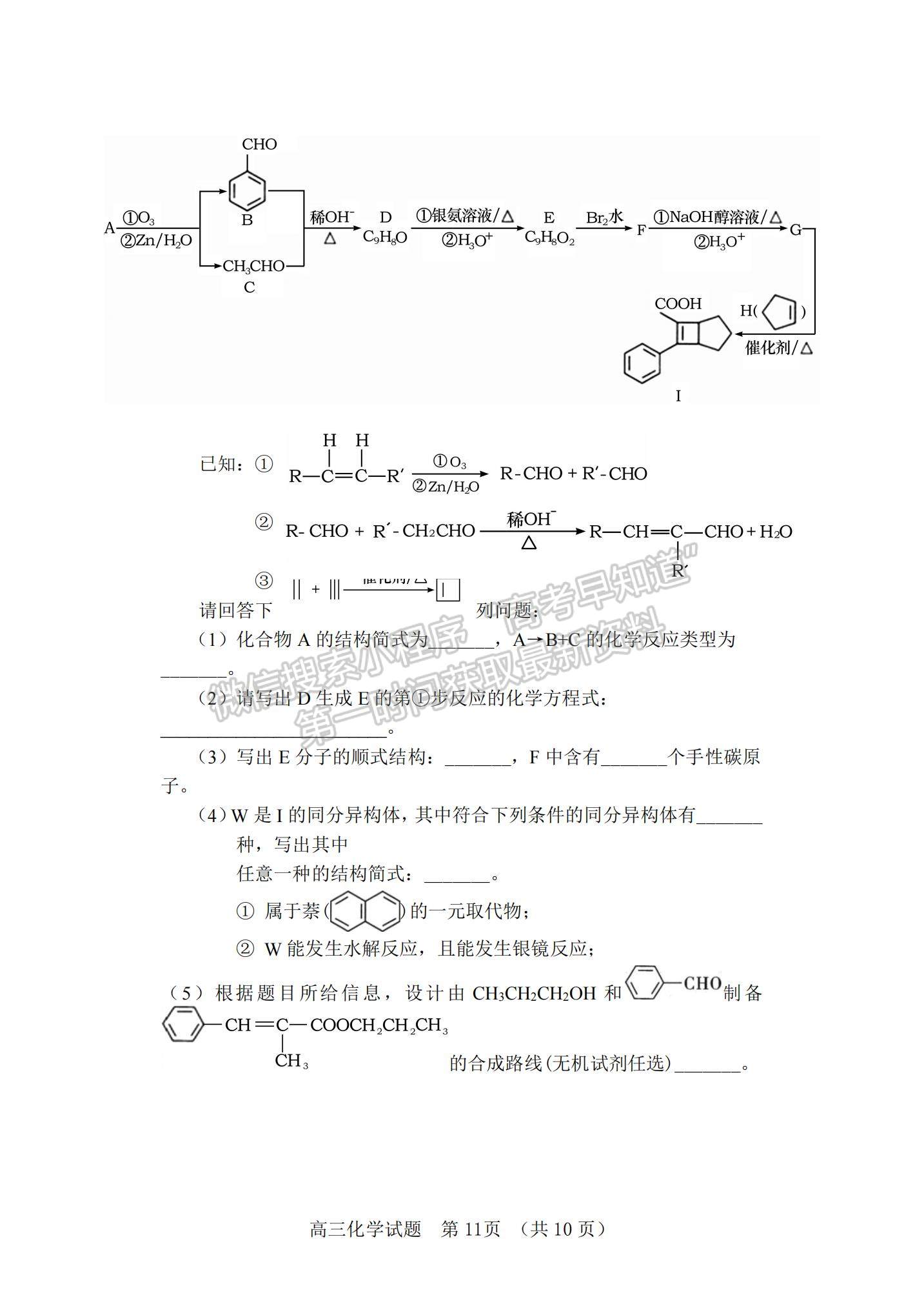 2022山東省泰安肥城市高三上學(xué)期第一次摸底考試化學(xué)試題及參考答案