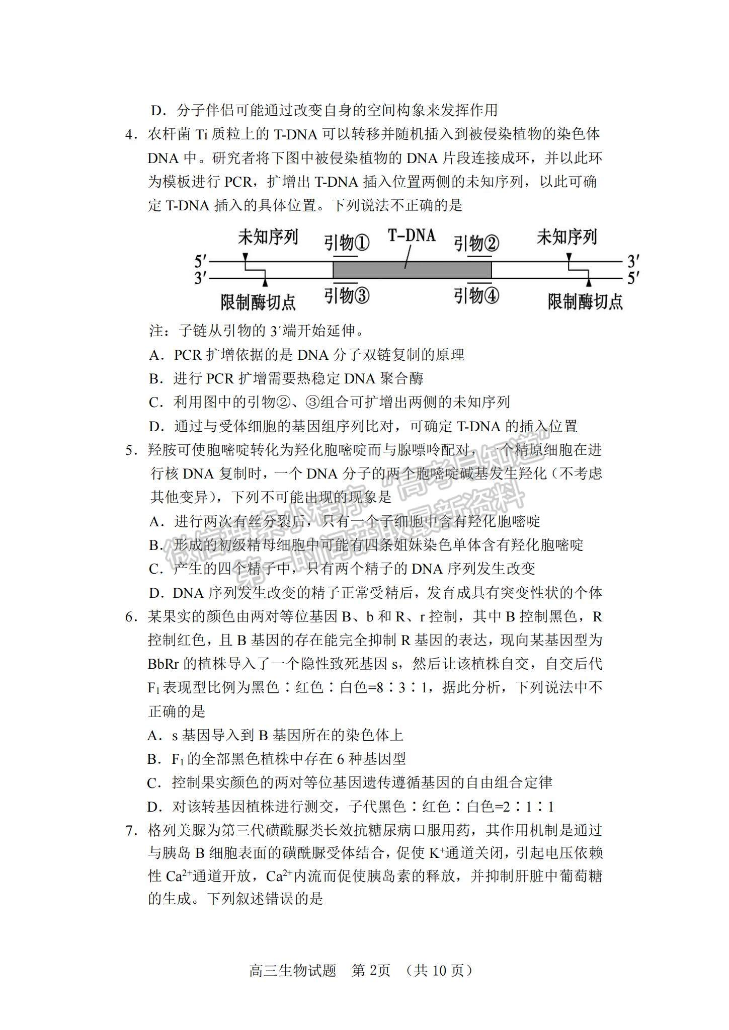 2022山東省泰安肥城市高三上學(xué)期第一次摸底考試生物試題及參考答案