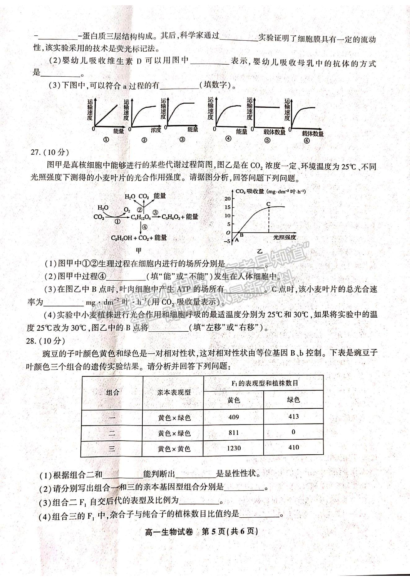 2021江西省九江市六校高一下學(xué)期期末考試生物試題及參考答案