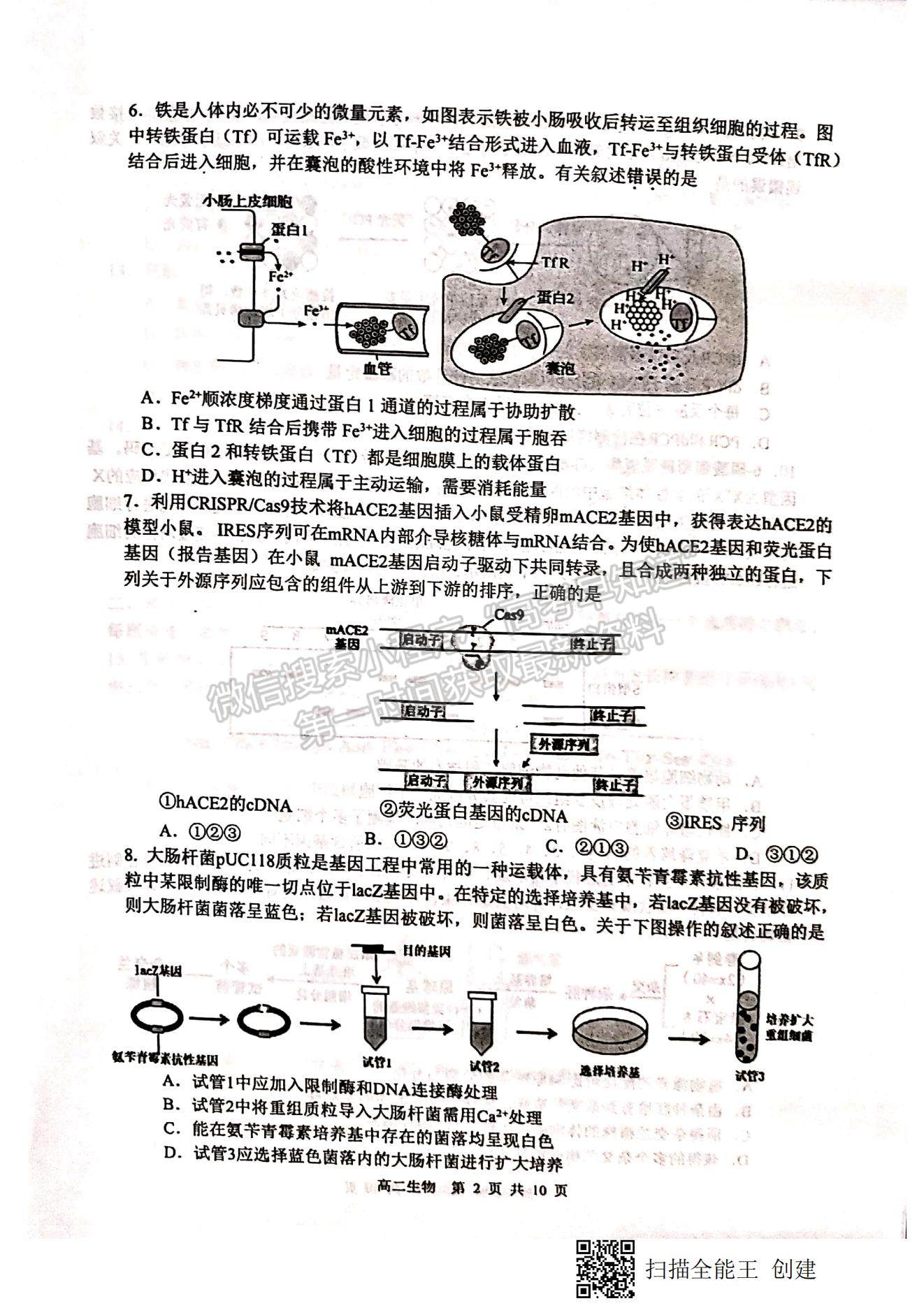 2021江蘇省徐州市高二下學(xué)期期末抽測(cè)生物試題及參考答案