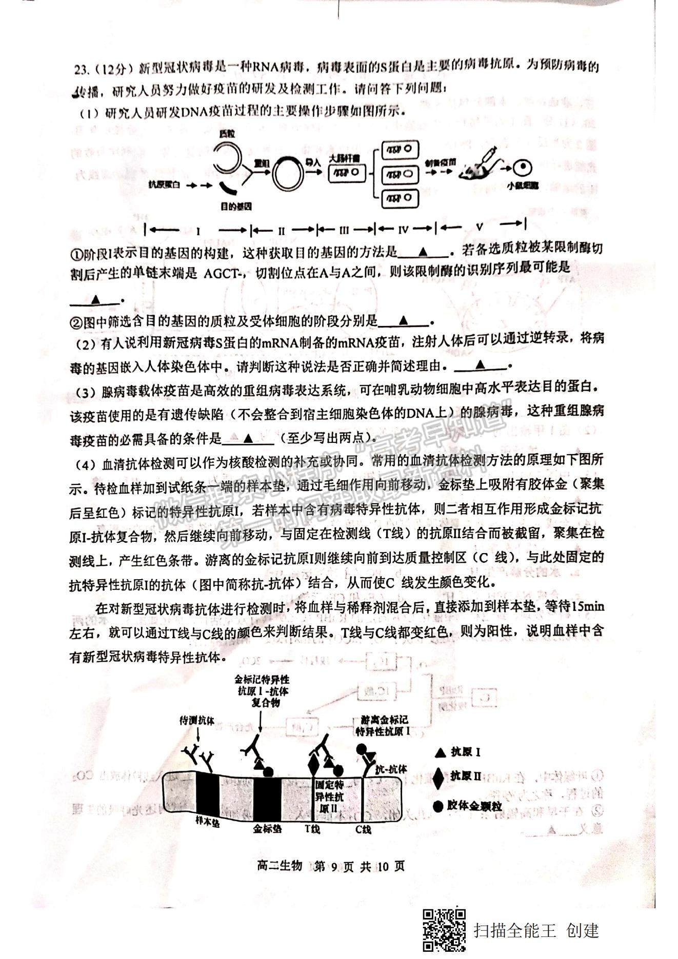 2021江蘇省徐州市高二下學(xué)期期末抽測生物試題及參考答案