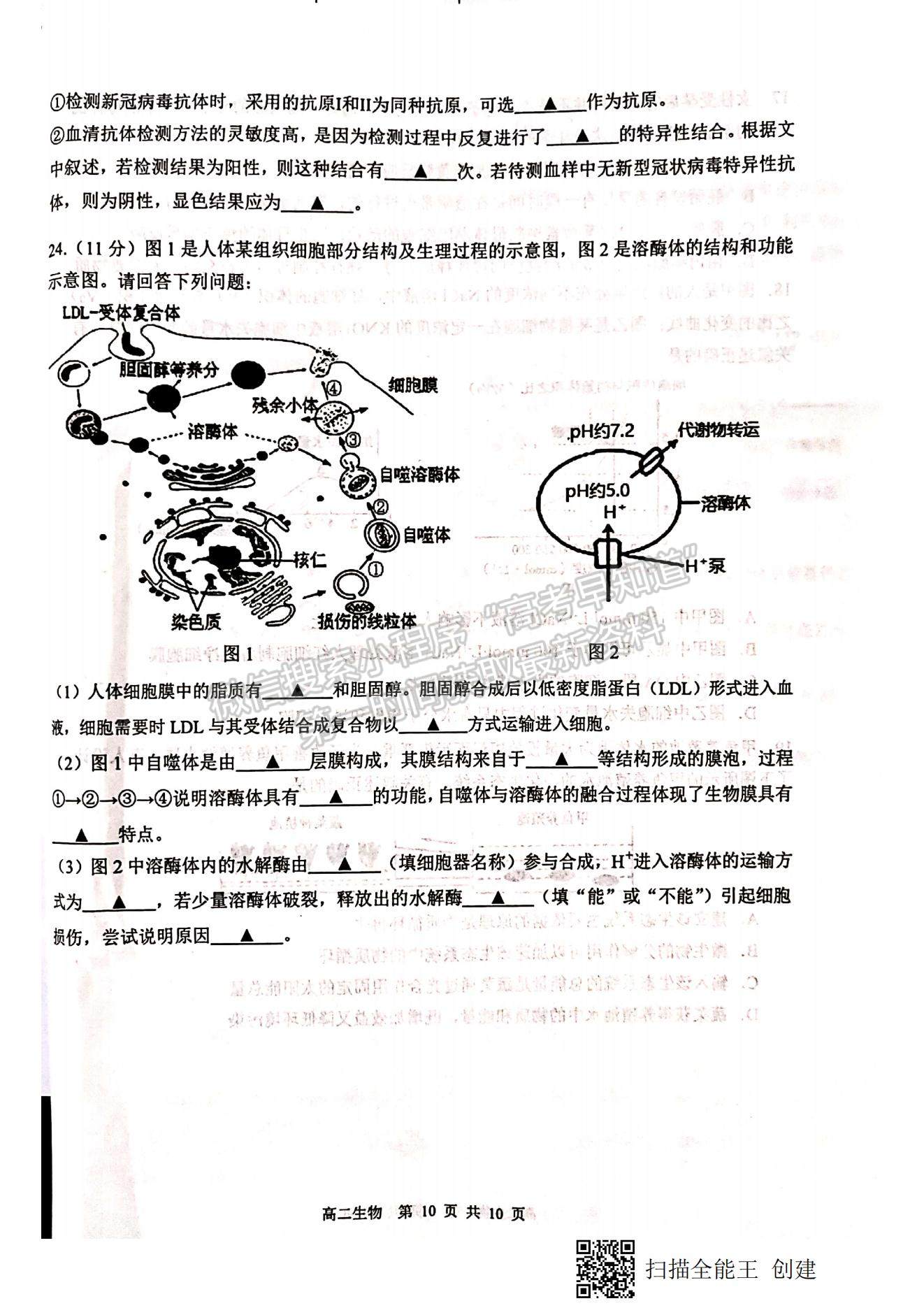 2021江蘇省徐州市高二下學(xué)期期末抽測生物試題及參考答案