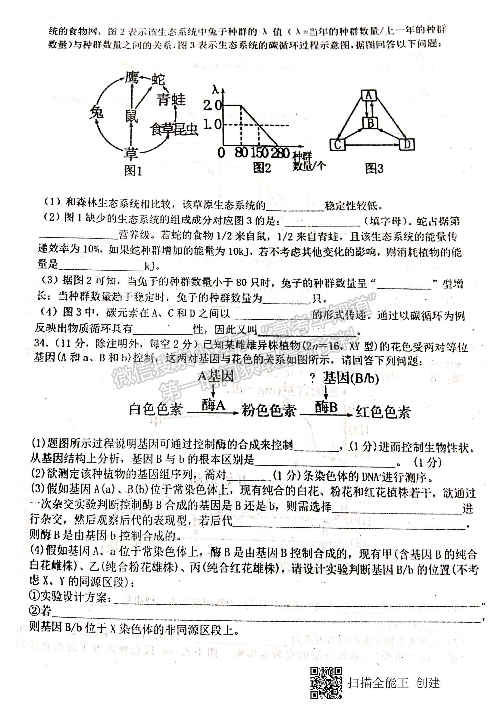 2021江西省八校（新余一中、宜春中學(xué)等）高二下學(xué)期第四次聯(lián)考生物試題及參考答案