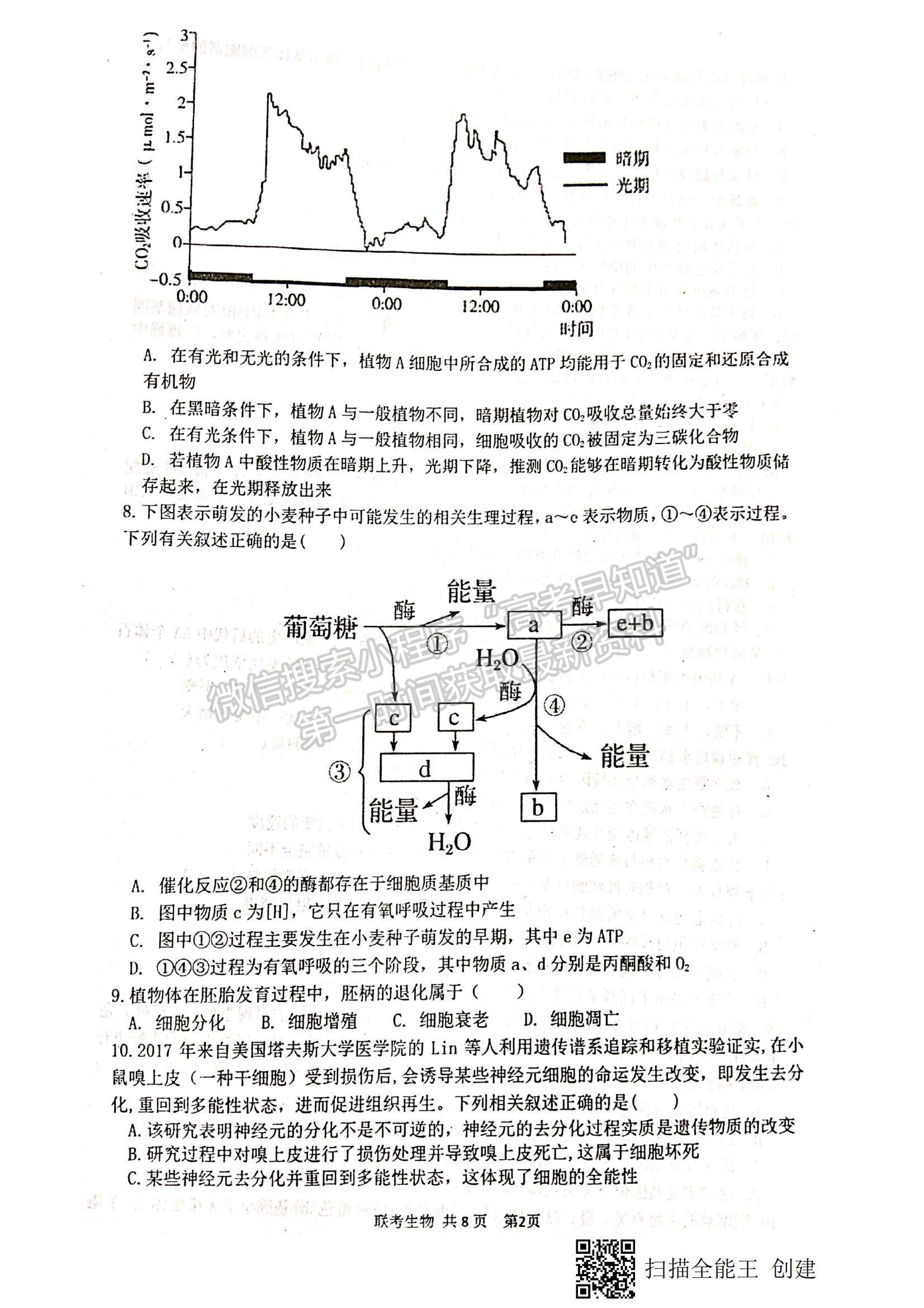 2021江西省八校（新余一中、宜春中學等）高二下學期第四次聯(lián)考生物試題及參考答案