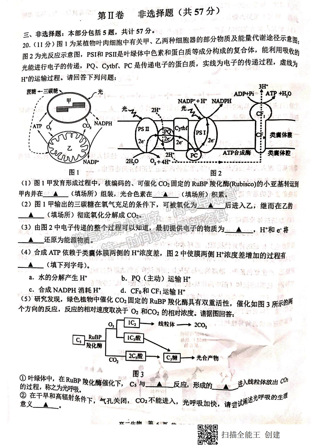 2021江蘇省徐州市高二下學(xué)期期末抽測生物試題及參考答案