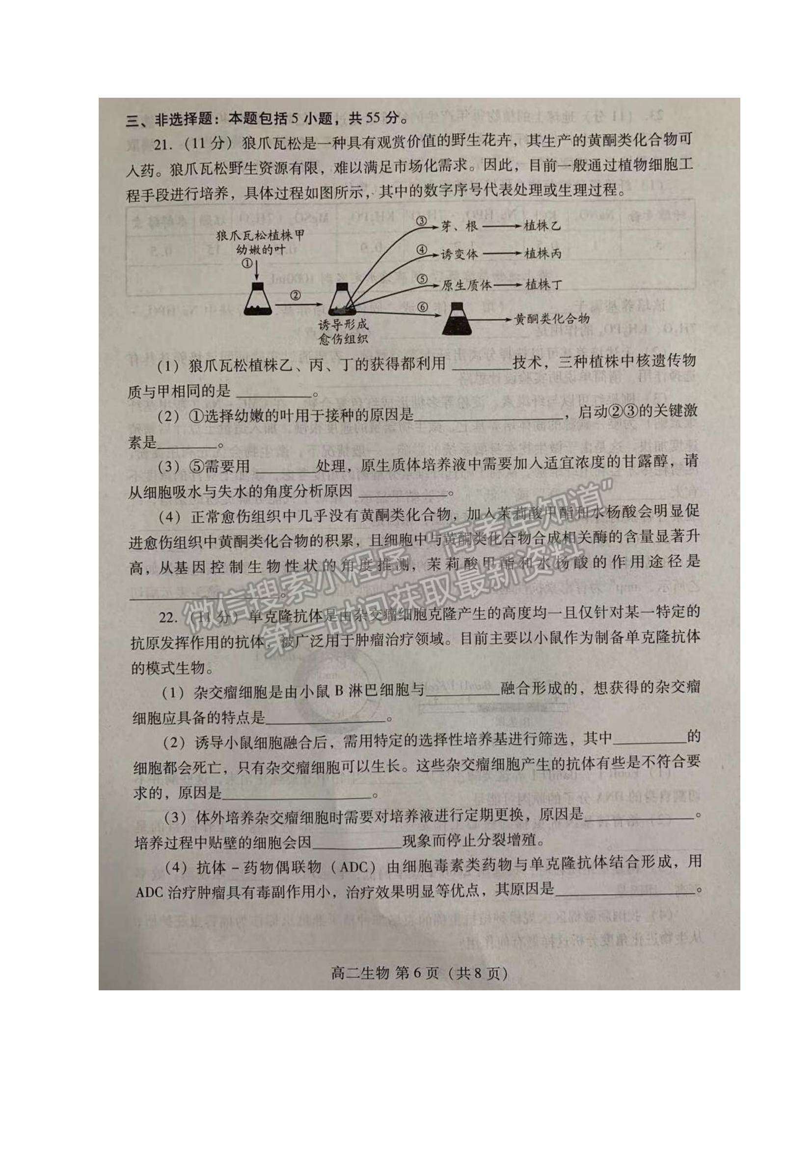 2021山東省濰坊市高二下學(xué)期期中考試生物試題及參考答案