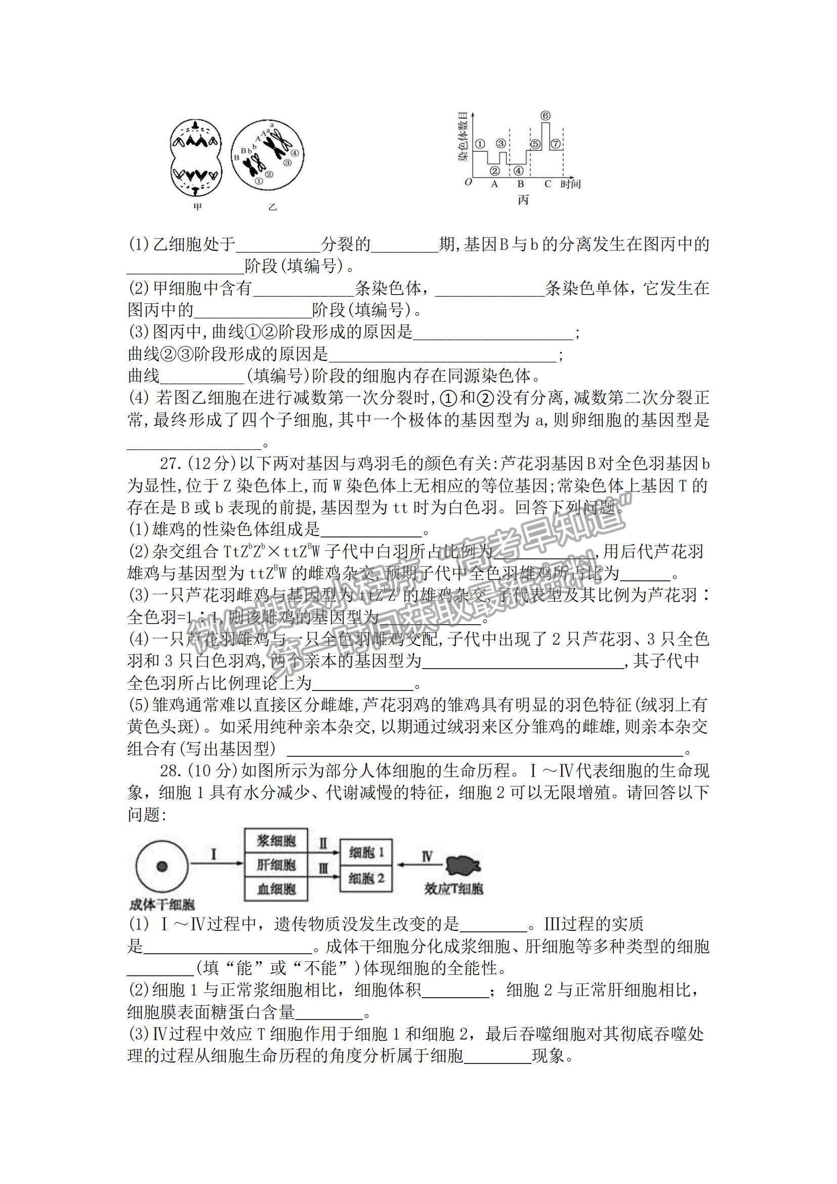 2021四川省樂山市十校高一下學期期中聯考生物試題及參考答案