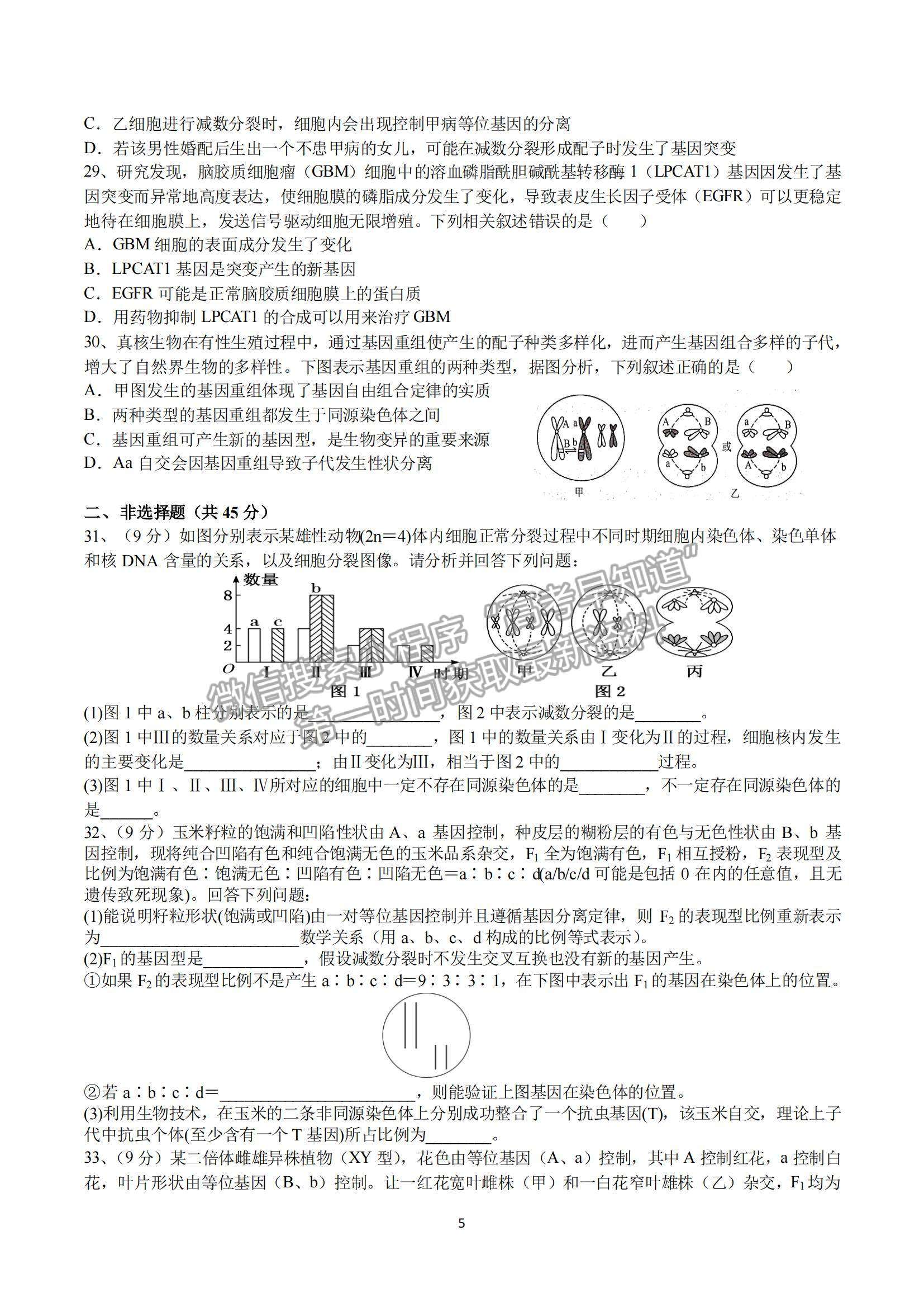 2022成都七中高二上學(xué)期入學(xué)考試生物試題及參考答案